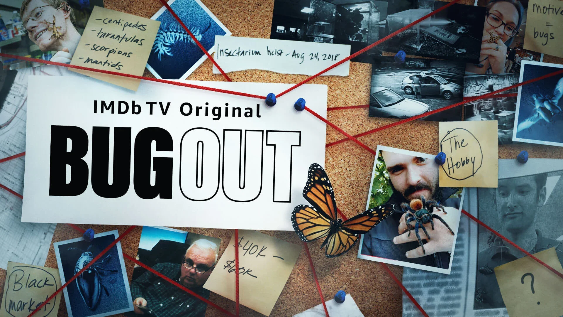 bug out.webp