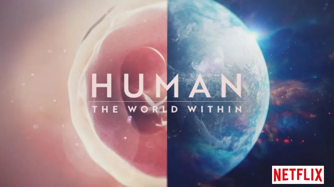 Human - on netflix copy.jpg