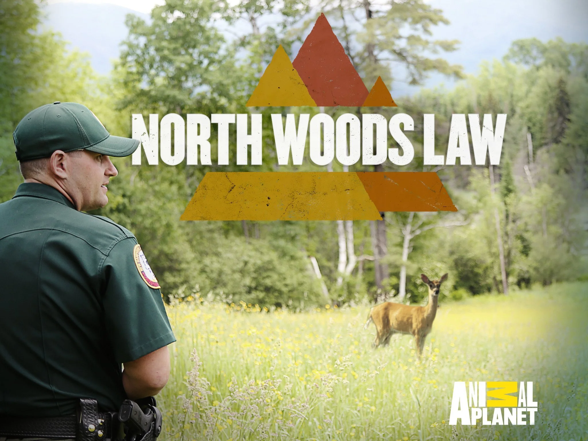 North Woods Law2.jpg