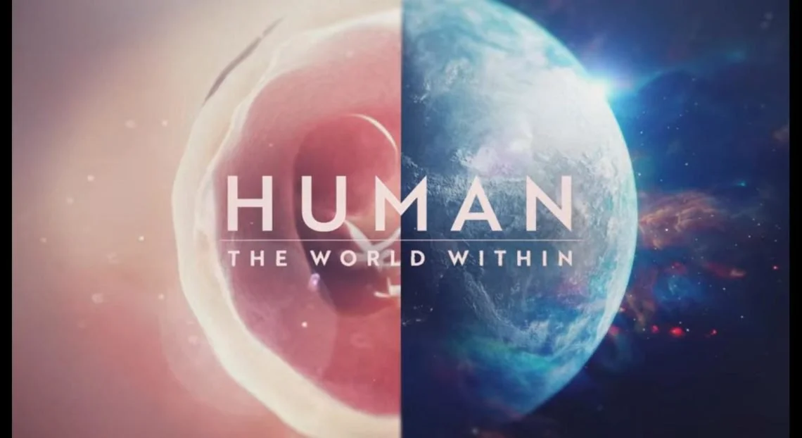 Human - on netflix.jpg