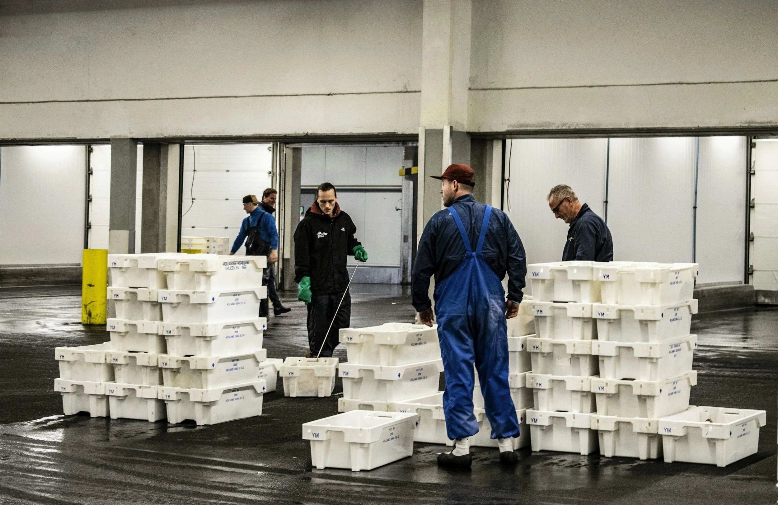 Warehouse employees supporting distribution and logistics operations.