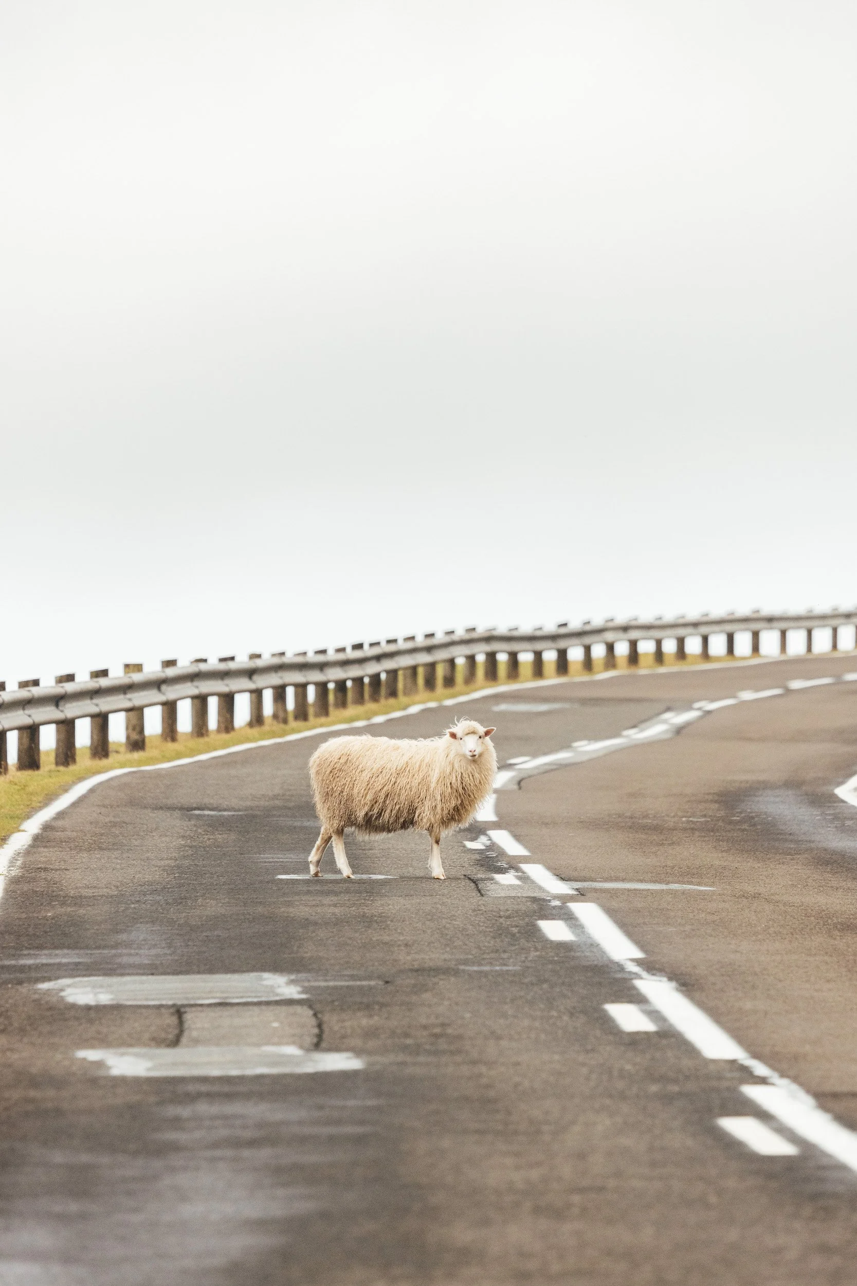 faroes-10.jpg