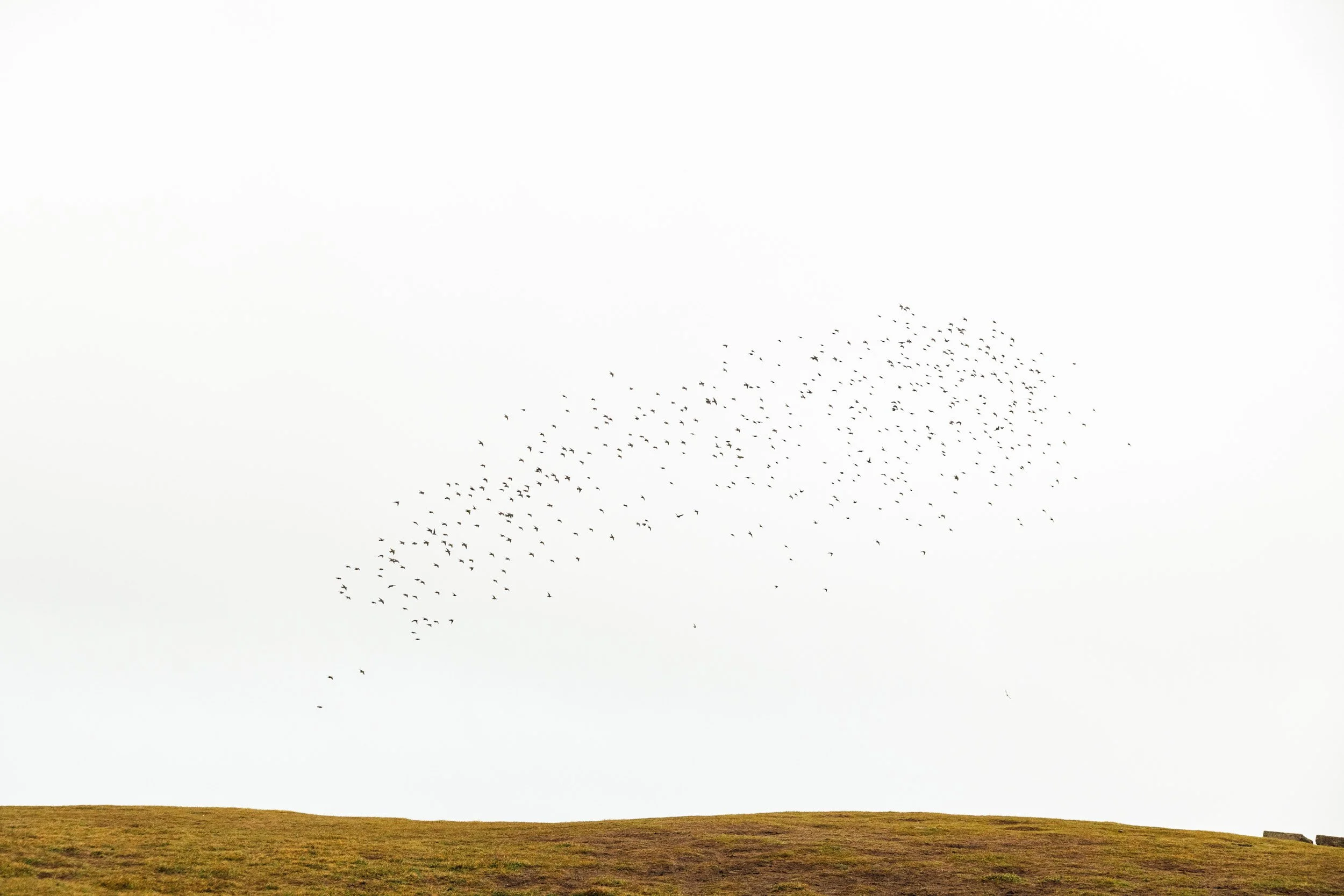 faroes-40.jpg