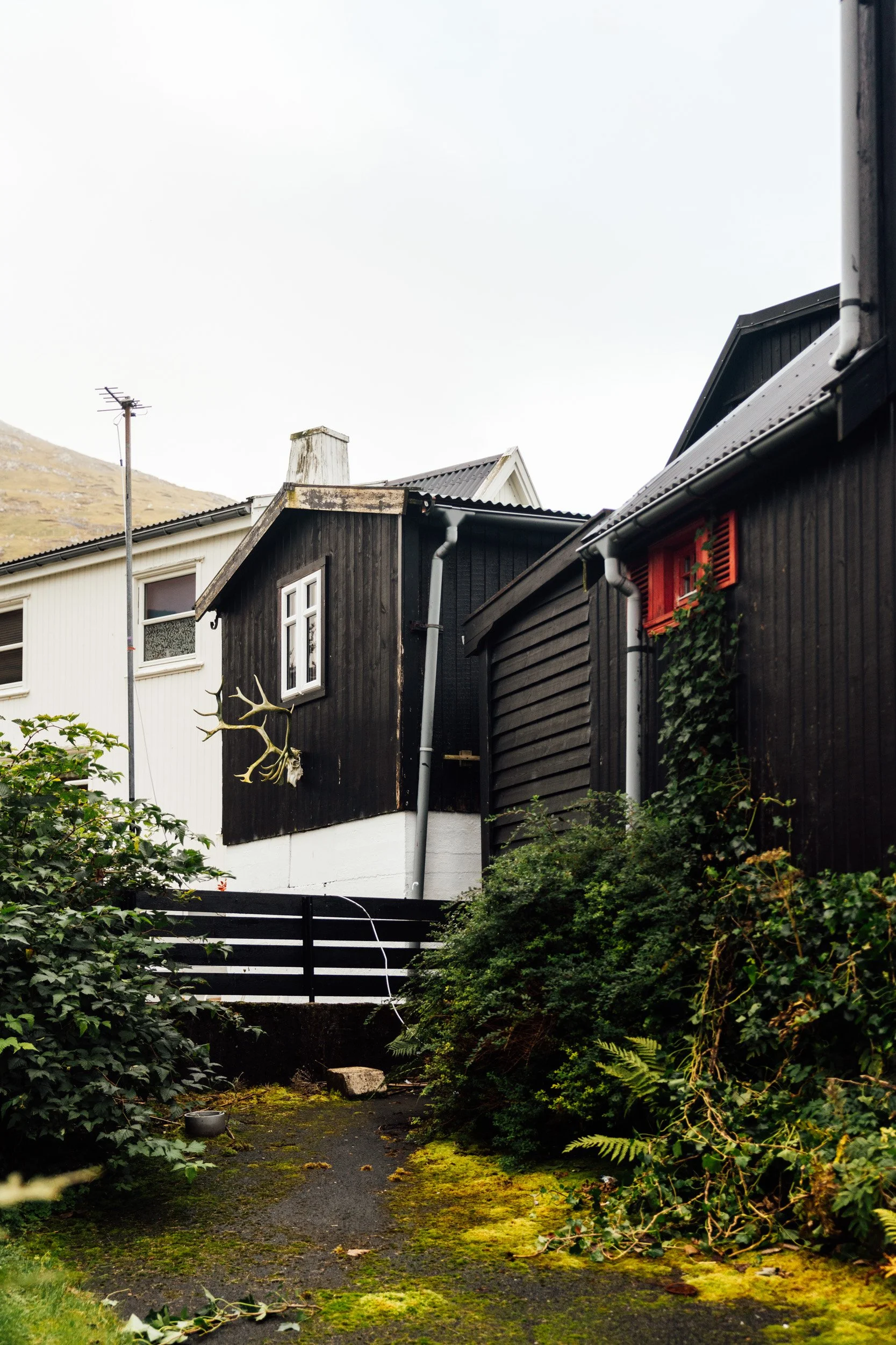faroes-8.jpg