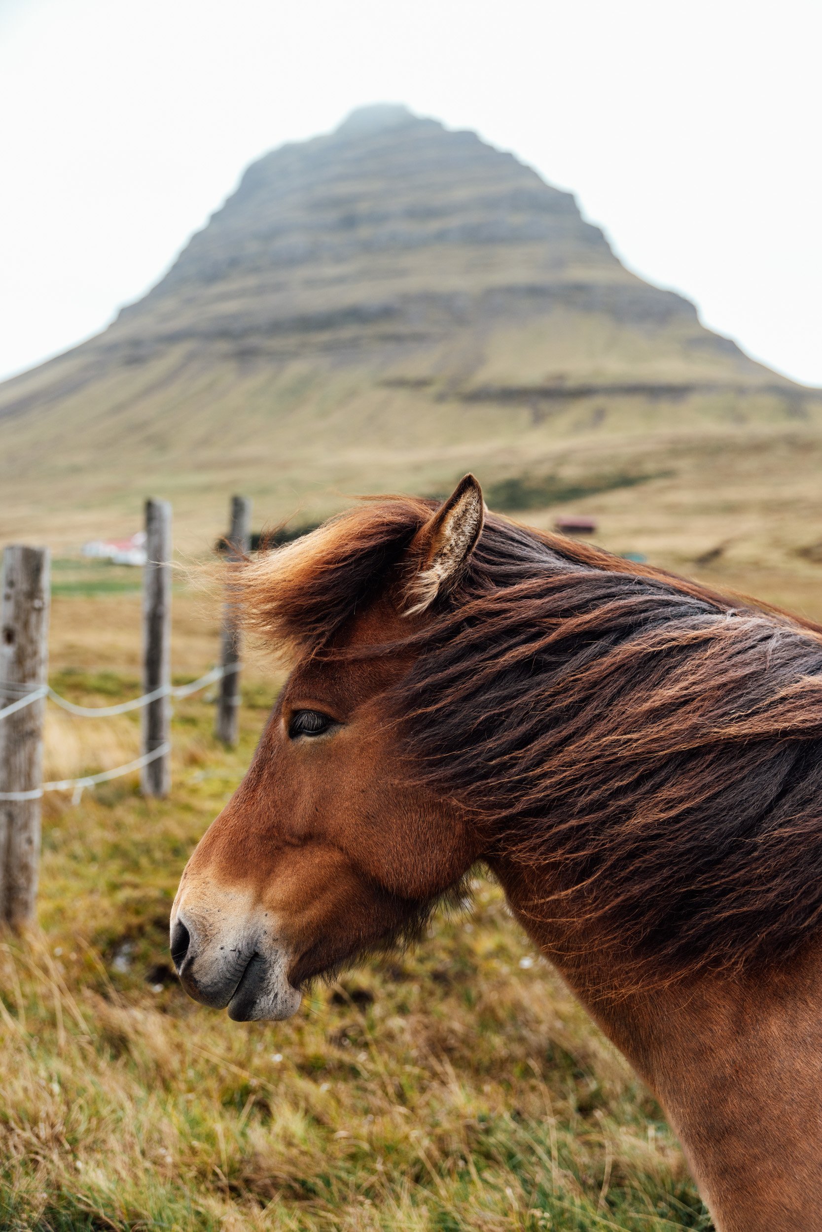 iceland-5.jpg
