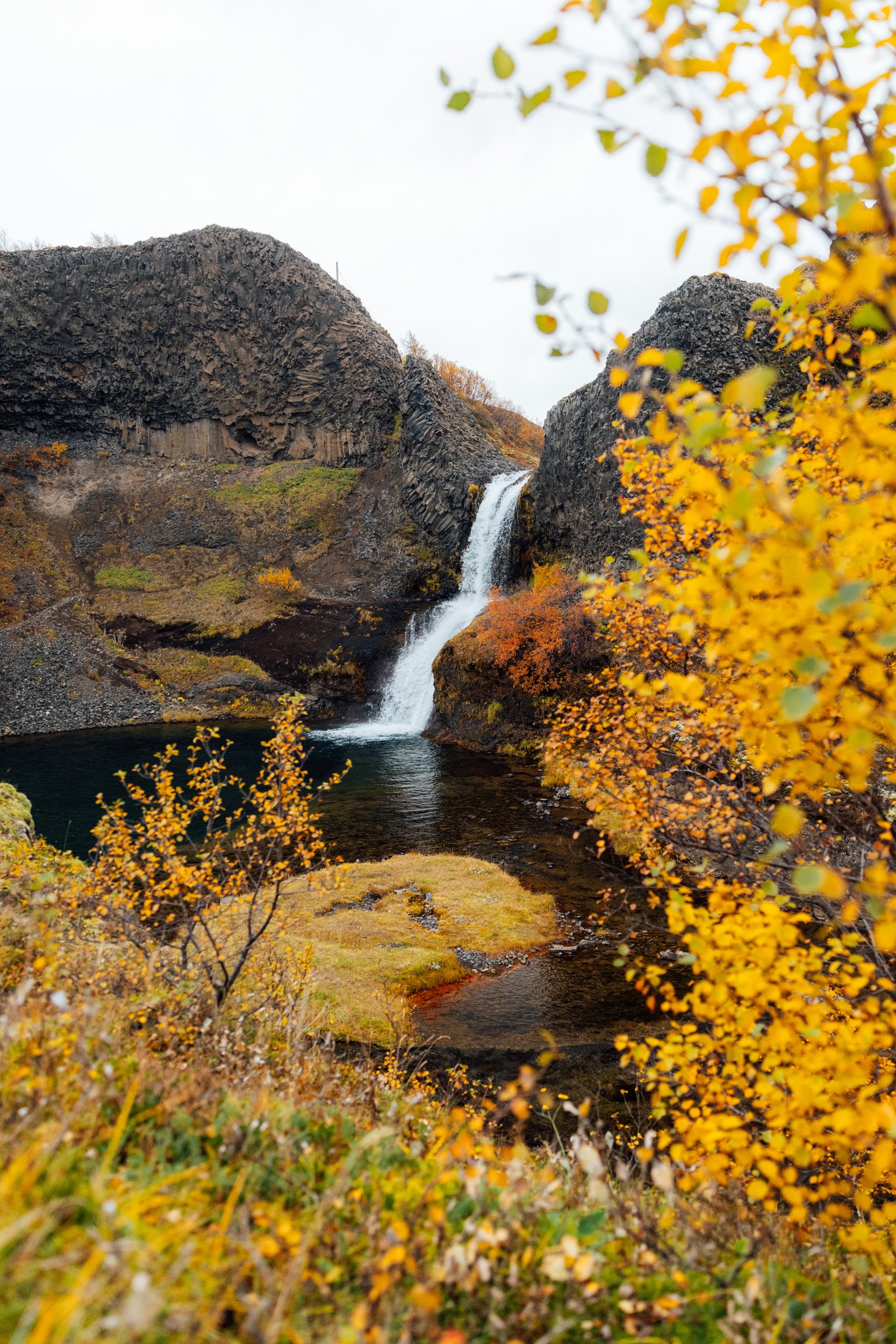 iceland-9.jpg
