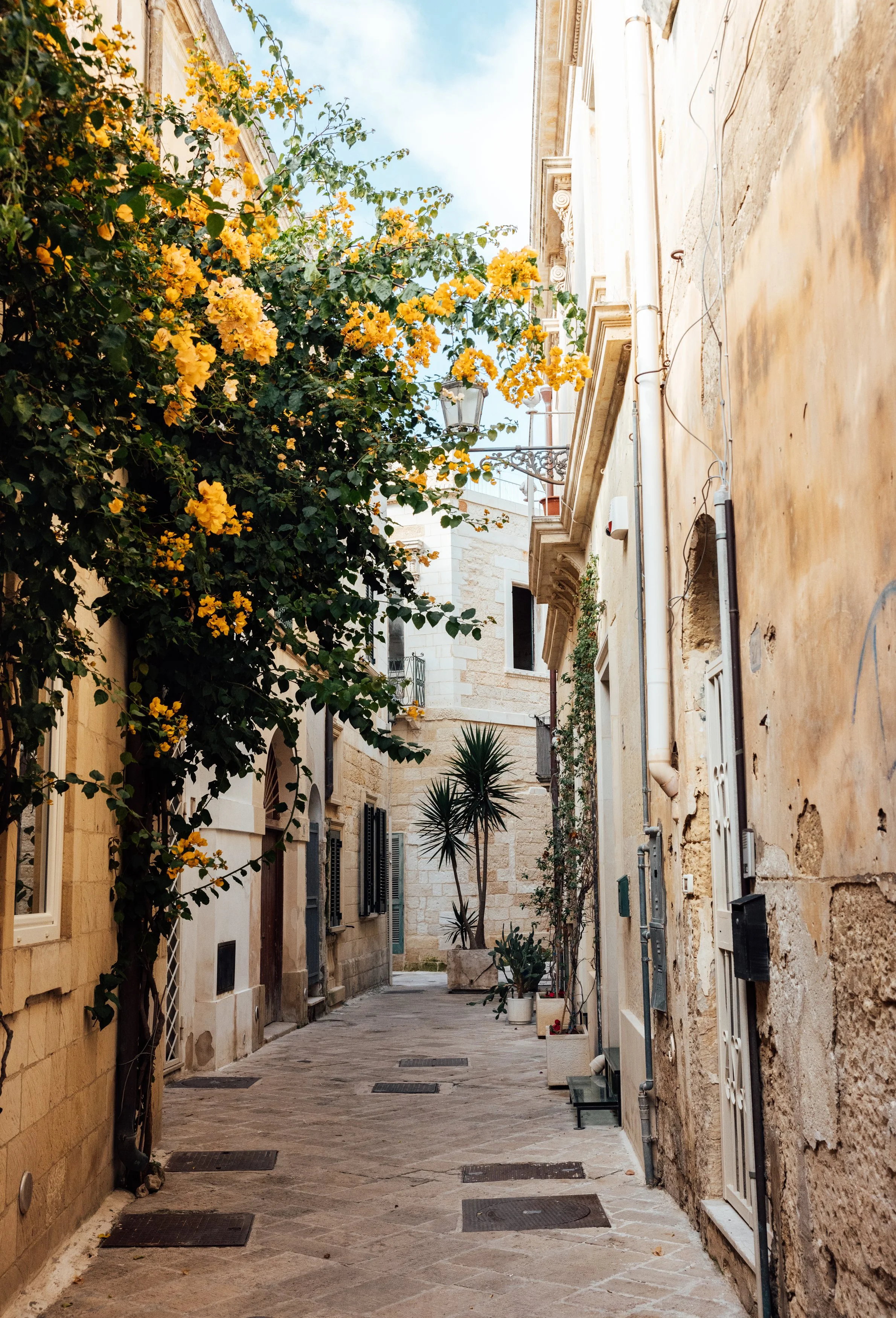 Narrow cobblestone street in a Mediterranean town with potted plants and yellow flowering bush on the left, and old buildings with shutters and climbing plants on the right.