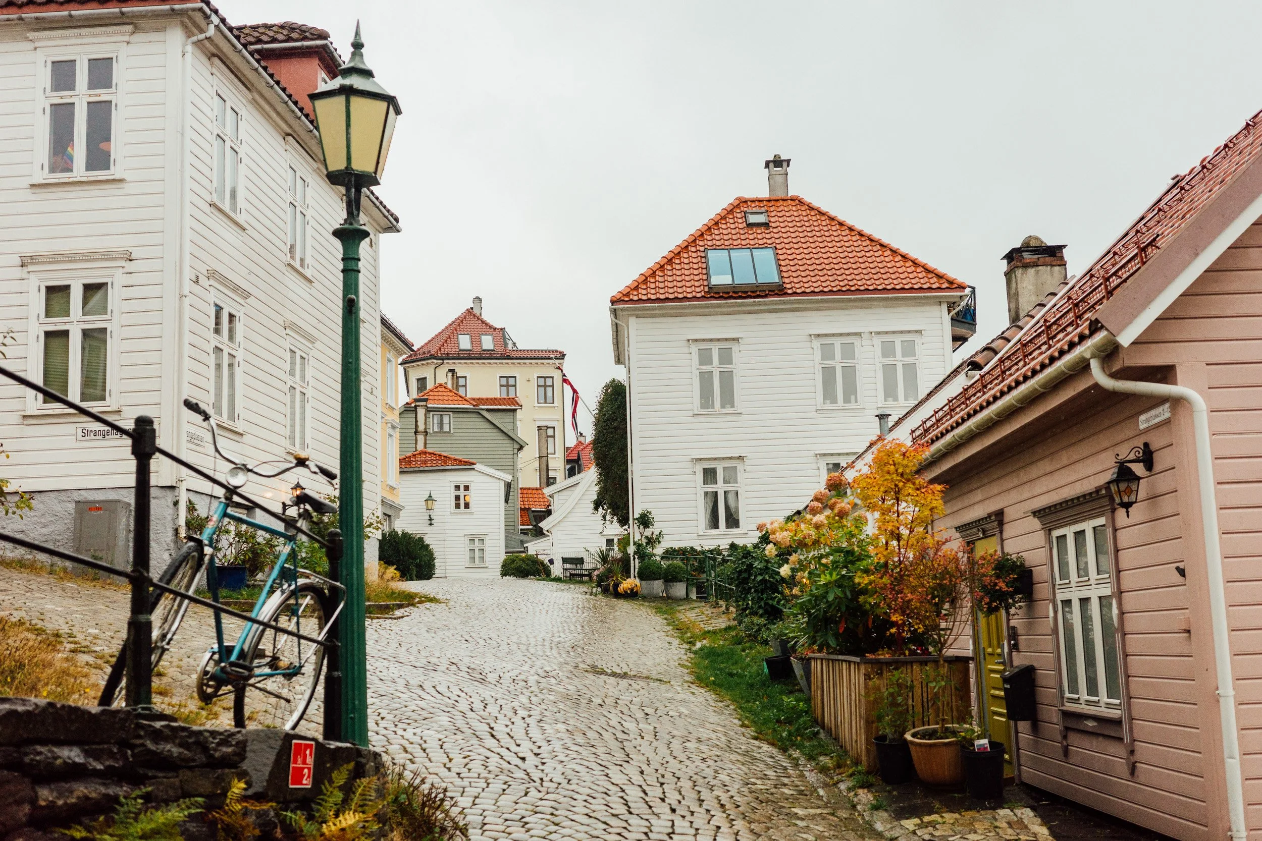 bergen-3.jpg