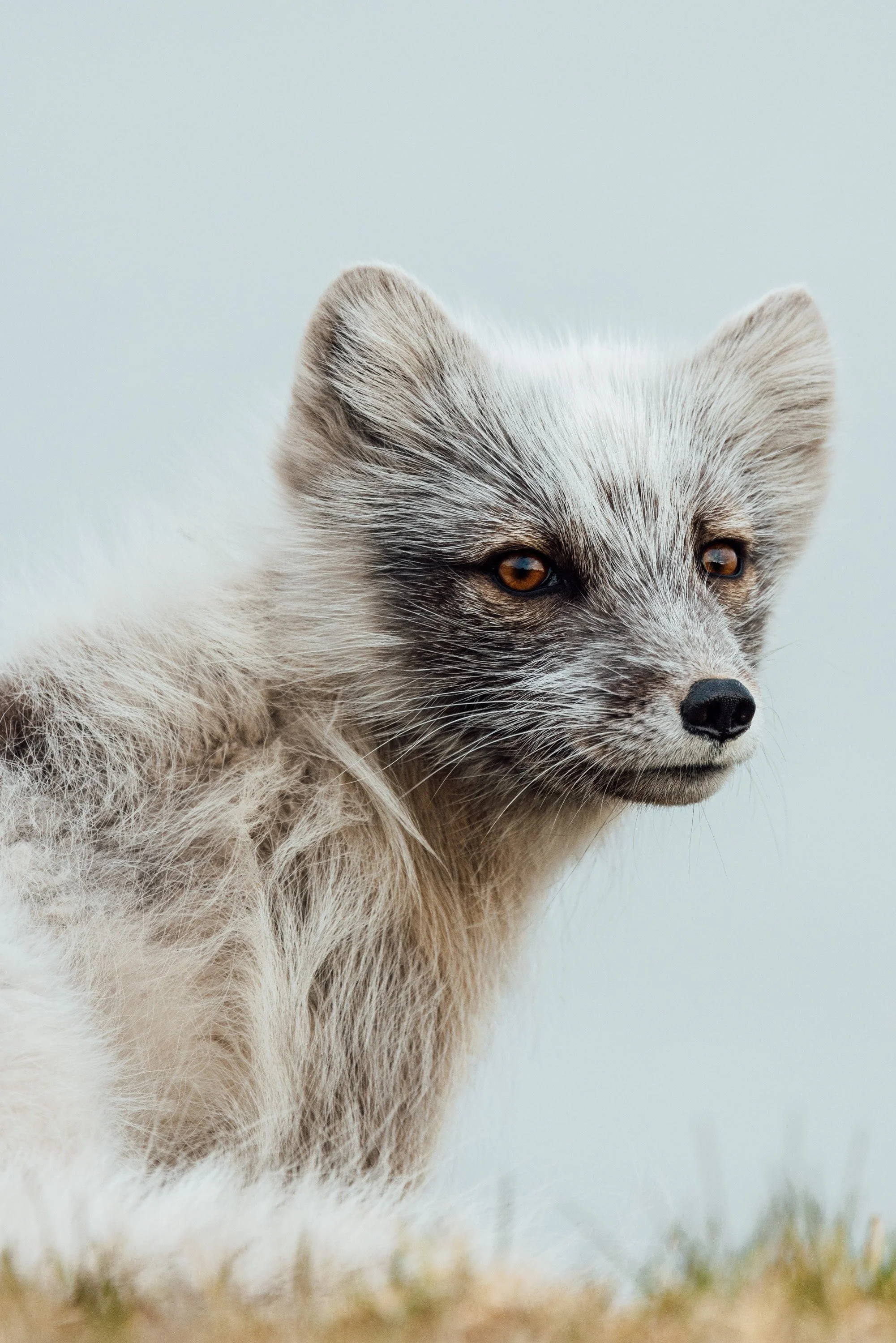svalbard-35.jpg