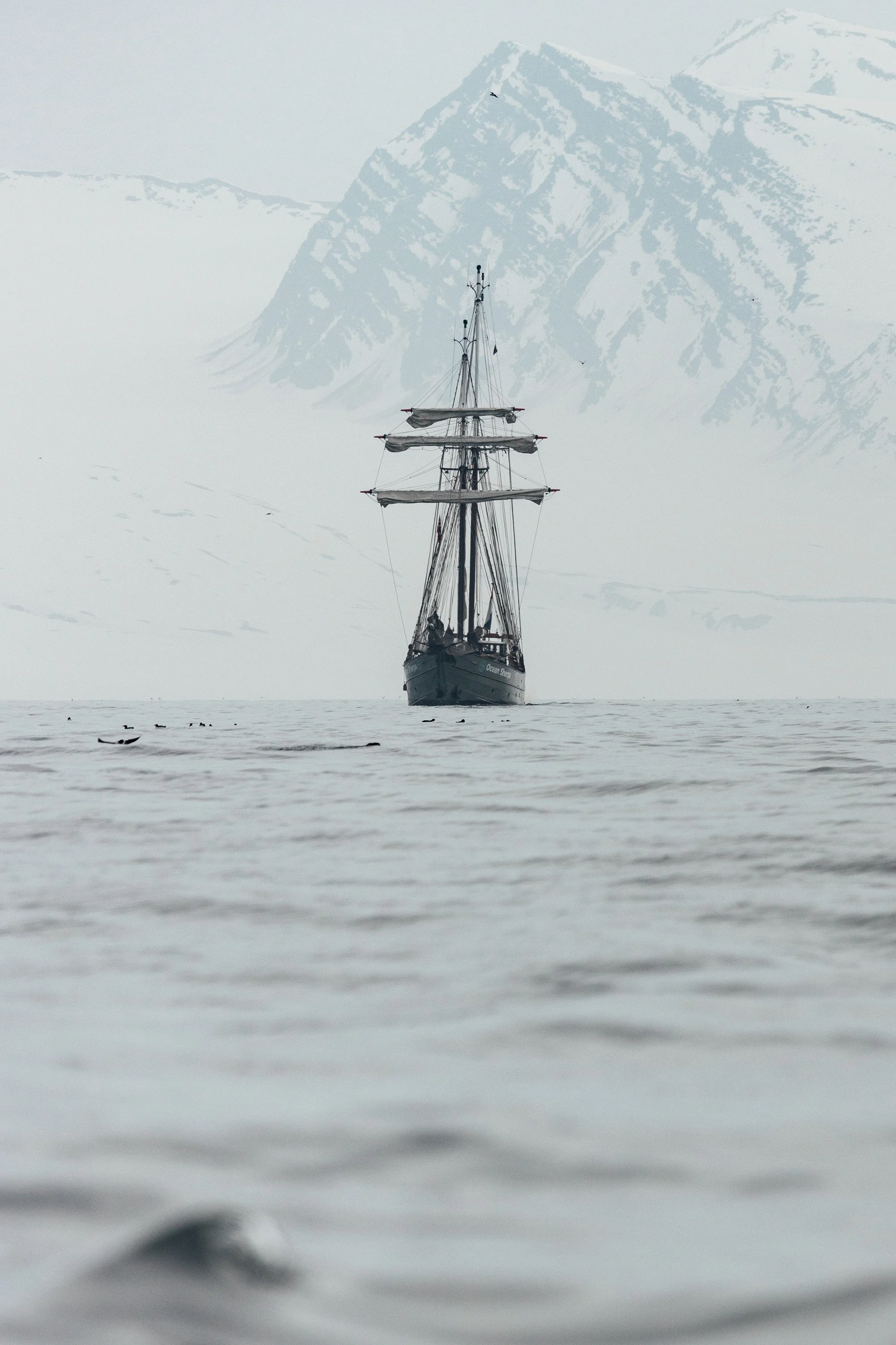 svalbard-25.jpg