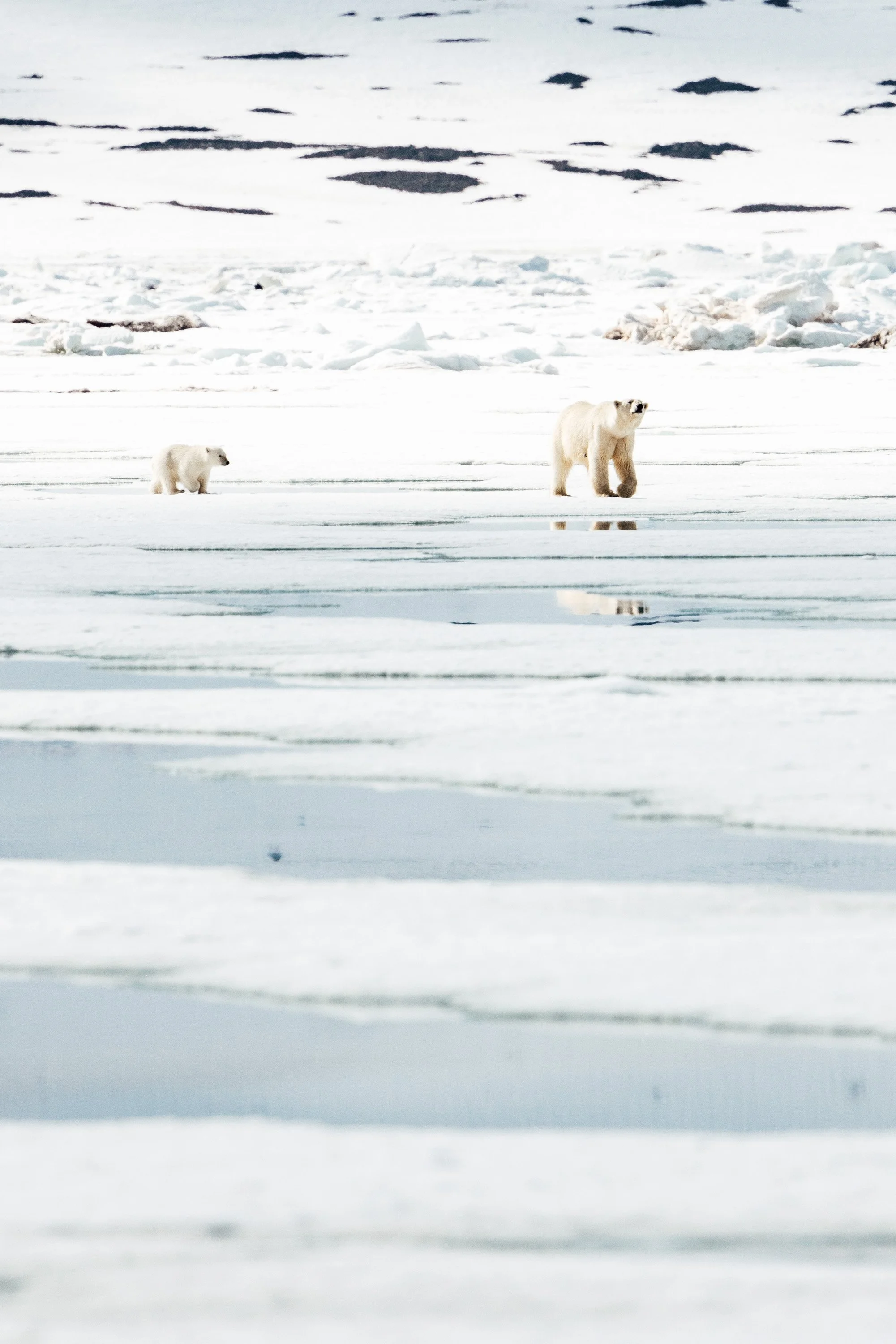 svalbard-42.jpg