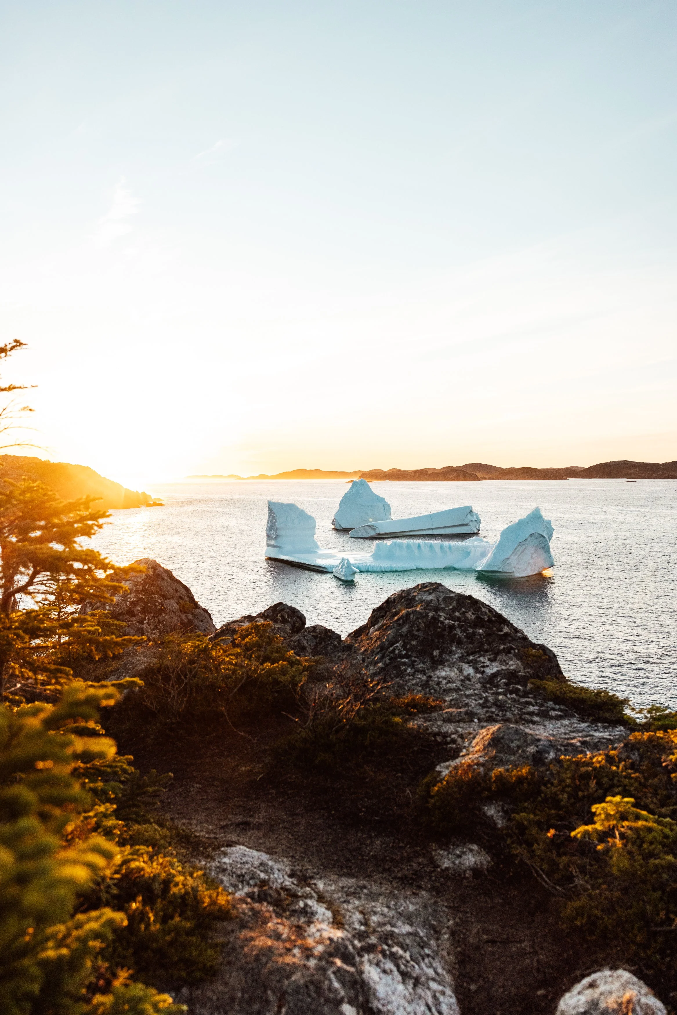 Sunset over a body of water with icebergs, rocky shoreline, and low vegetation in the foreground.