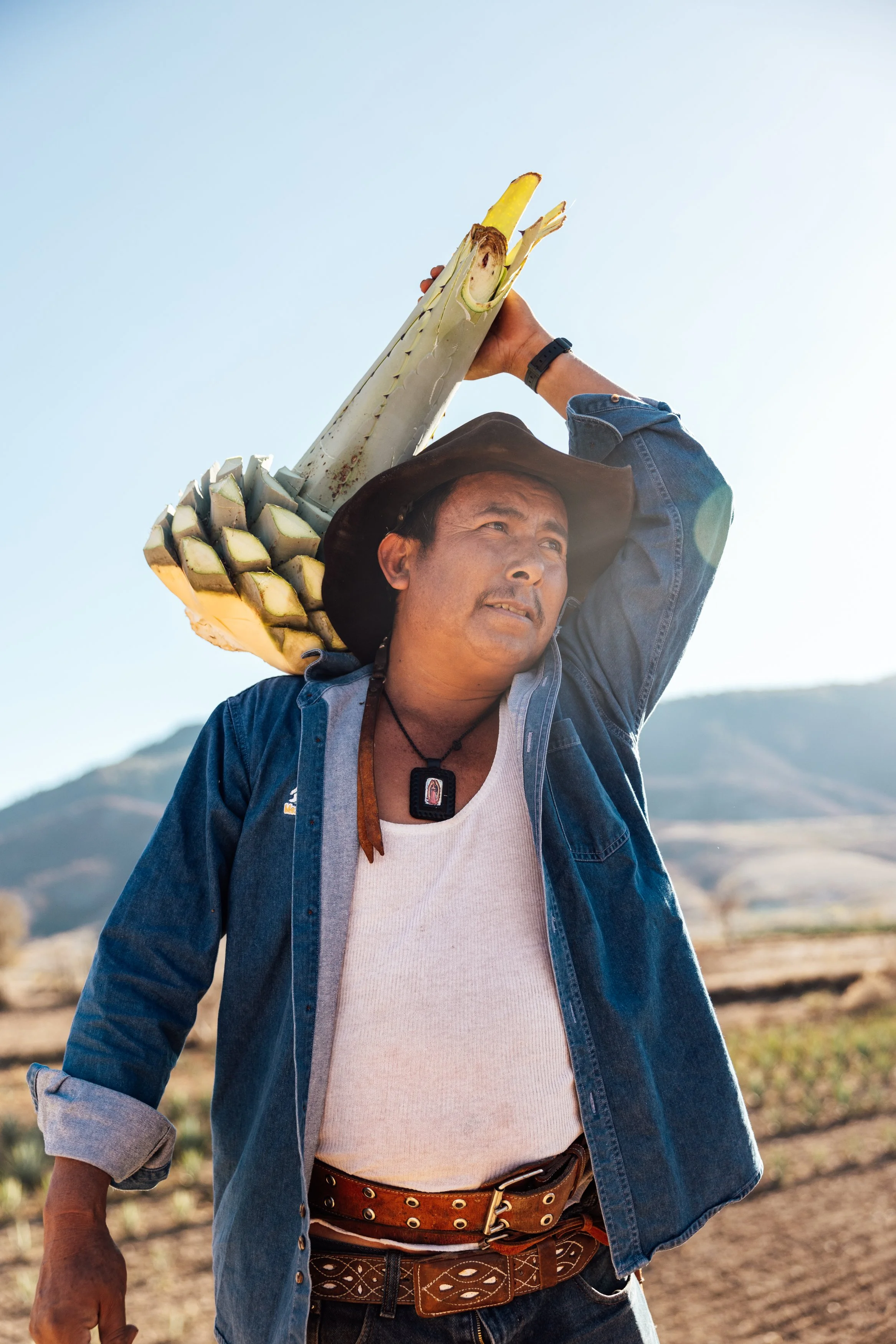 Man carrying a large pineapple on his shoulder in a rural landscape with mountains in the background.
