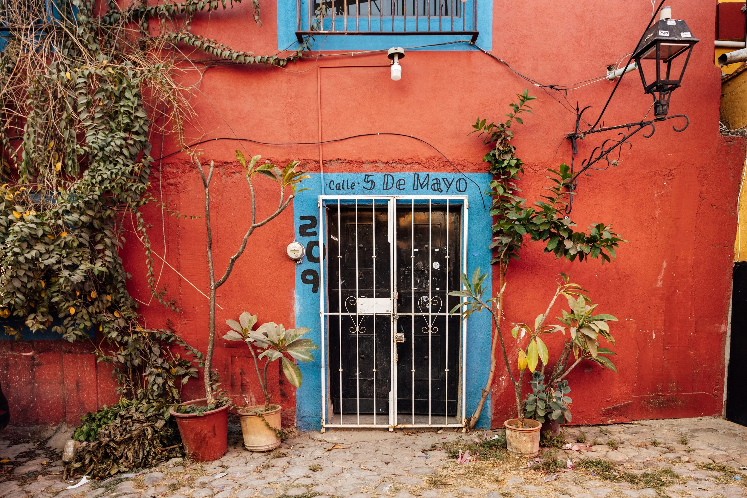 A colorful historic building with red and blue walls, metal security door, and potted plants outside. The address '5 De Mayo' is painted above the door, with the year '209' vertically on the left side of the door.