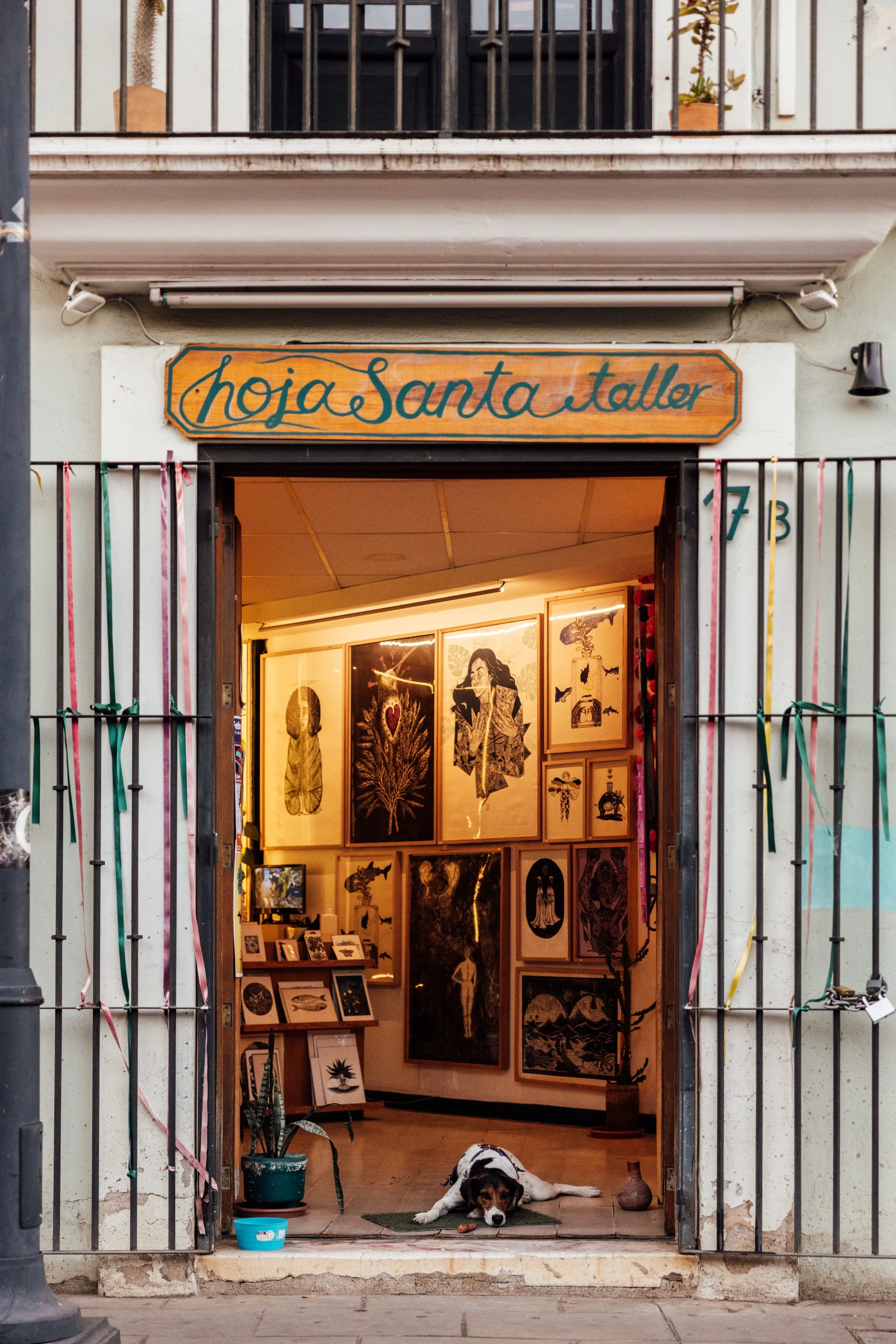 Art gallery shop entrance with paintings inside, a dog lying on the ground in front, and a sign that reads 'hoja Santa taller'.