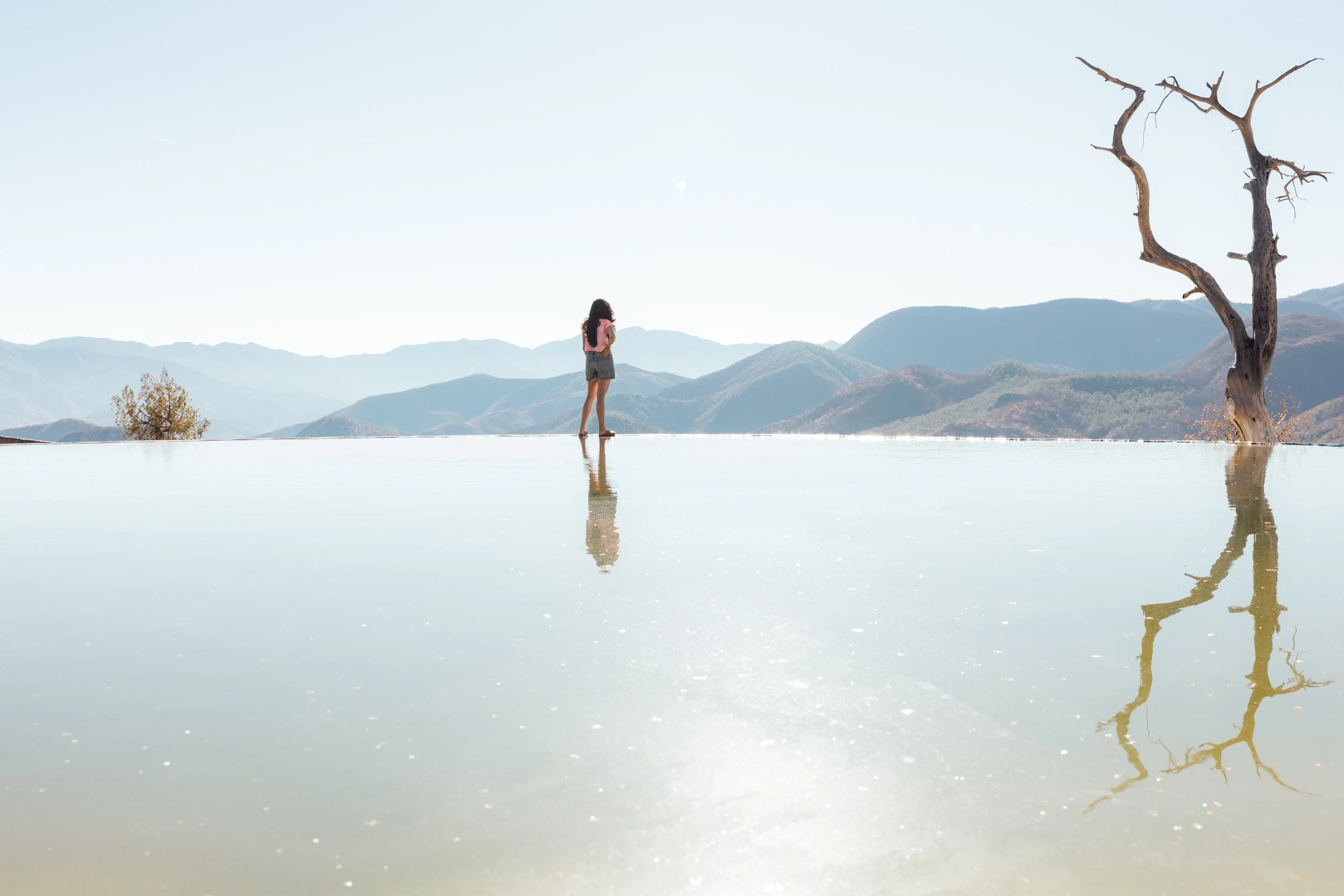 A woman standing on the edge of a reflective, glass-like body of water with mountains in the background, a leafless tree, and clear sky.