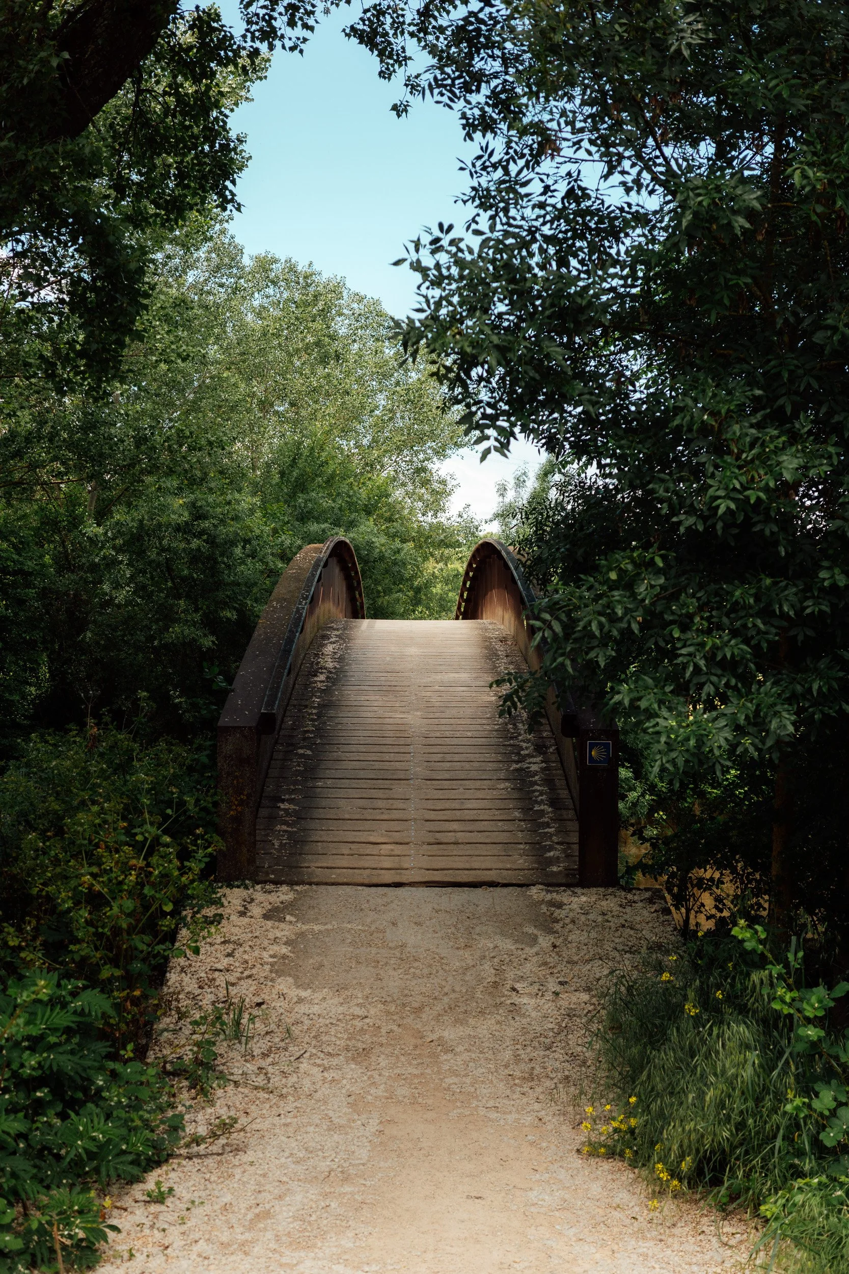 camino-41.jpg