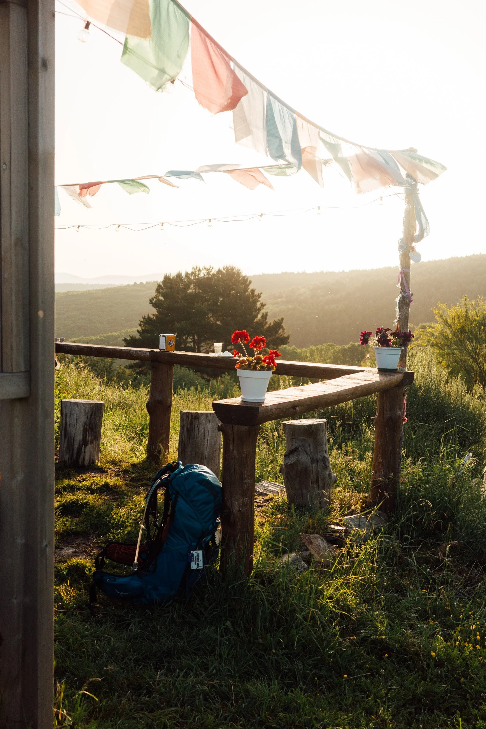 camino-119.jpg