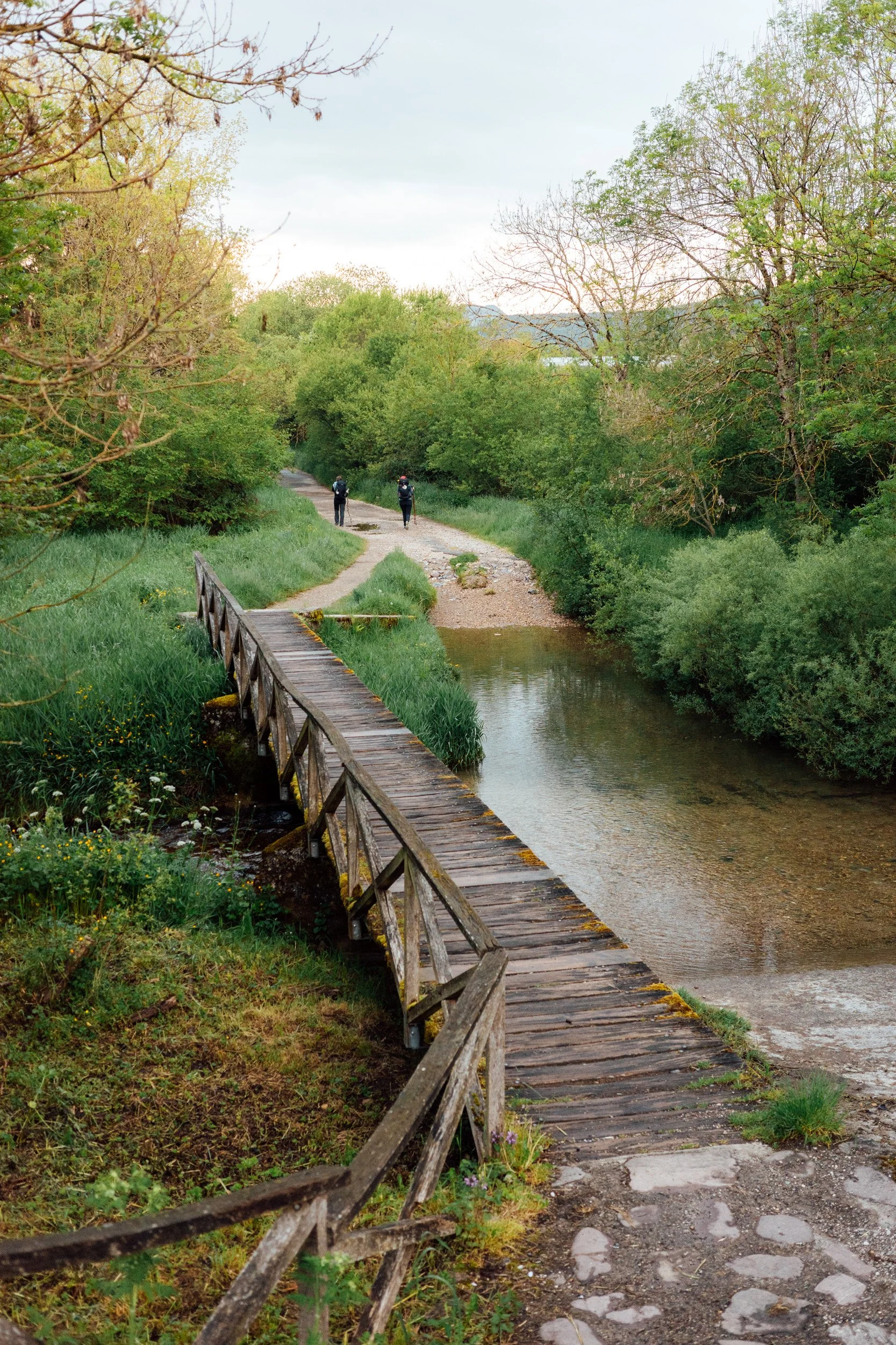 camino-17.jpg