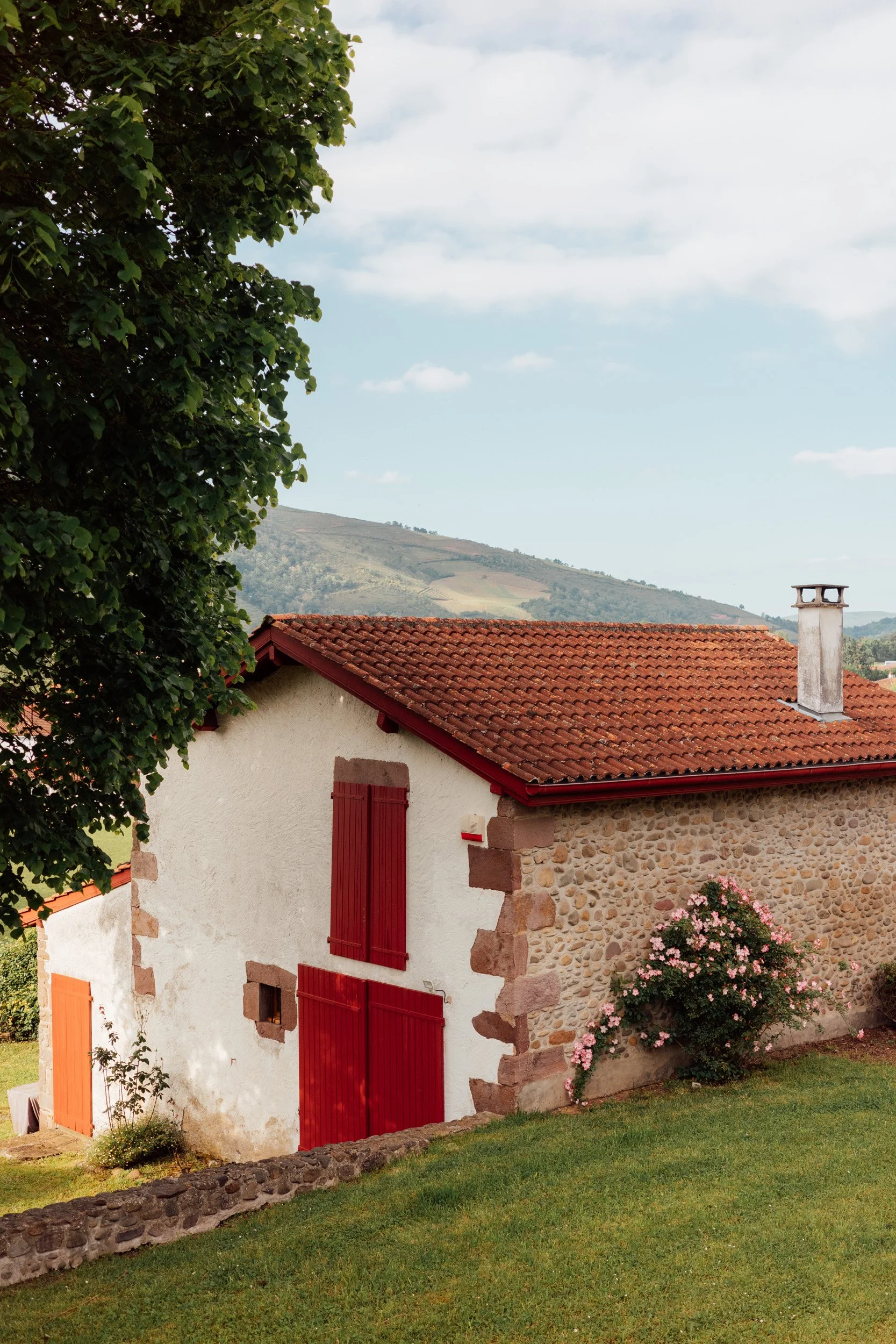 camino-6.jpg