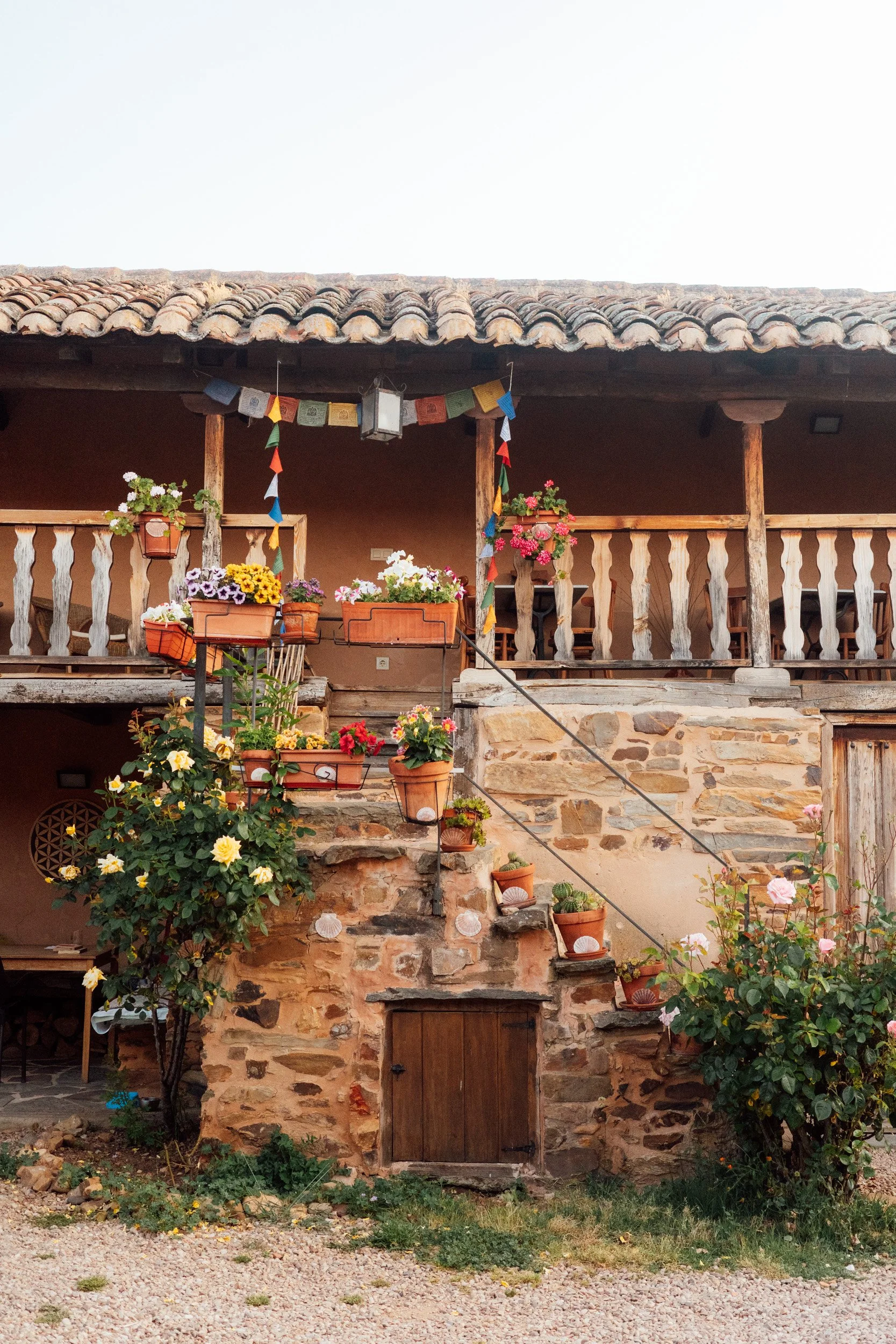 camino-116.jpg