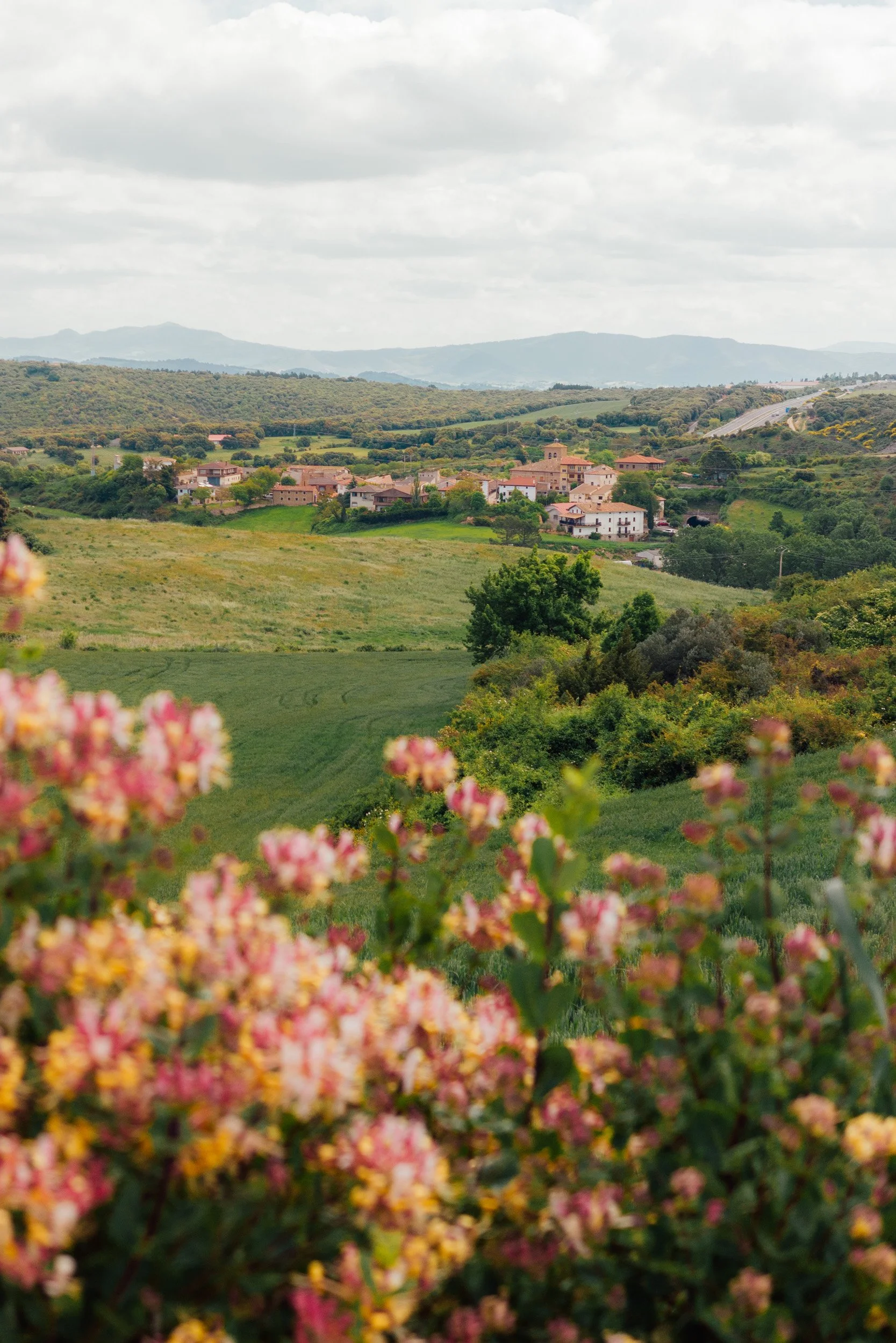 camino-43.jpg