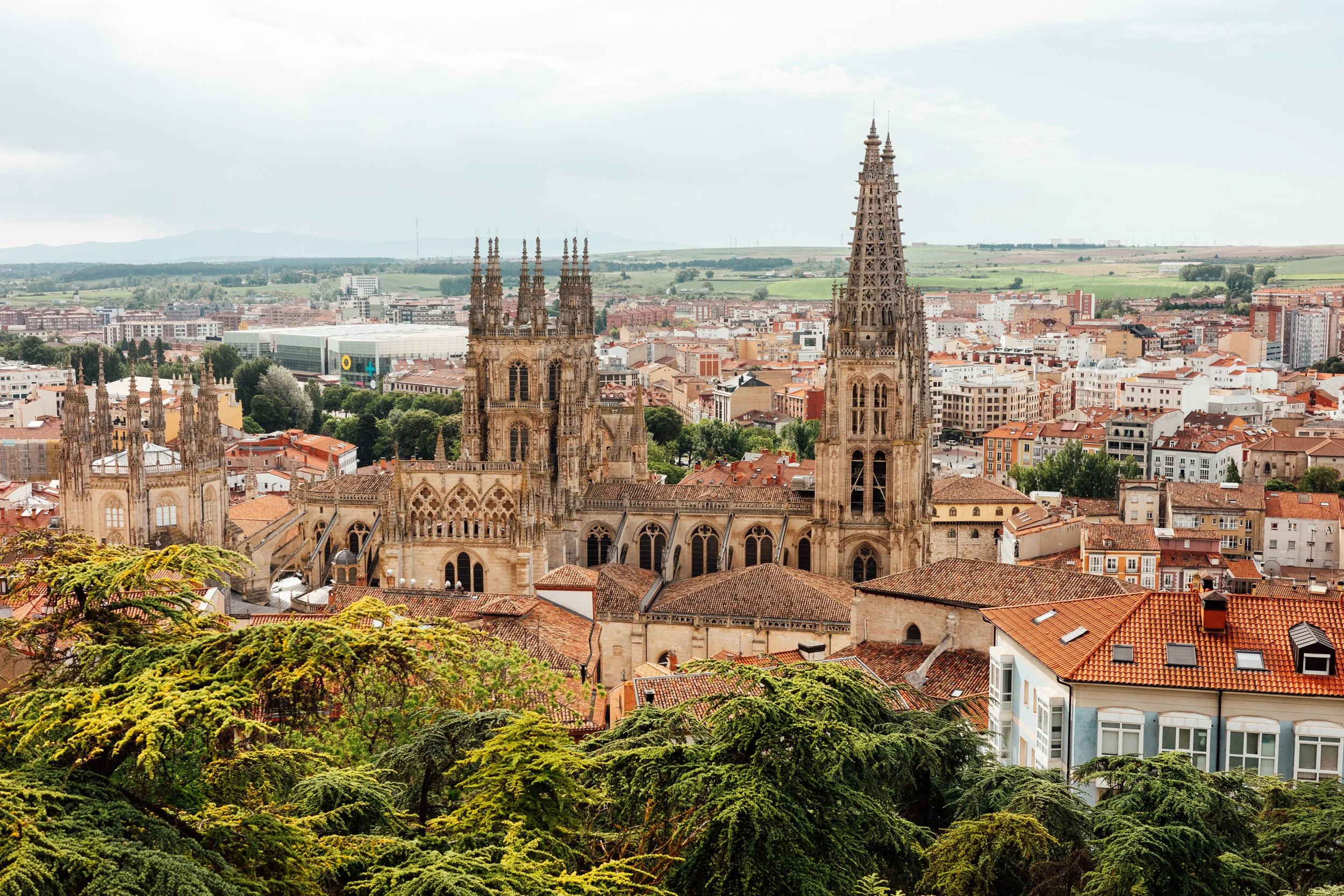 camino-83.jpg