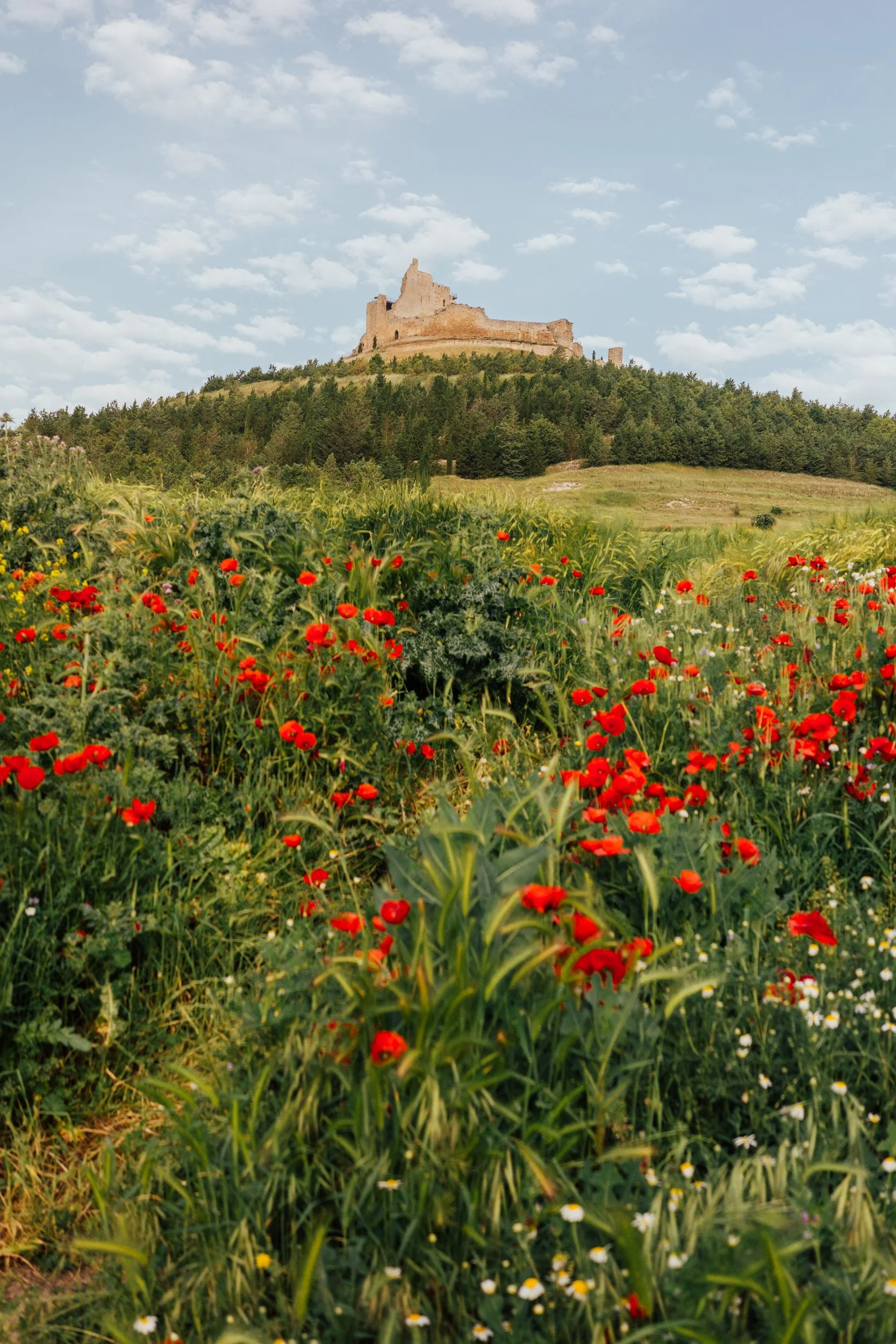 camino-94.jpg