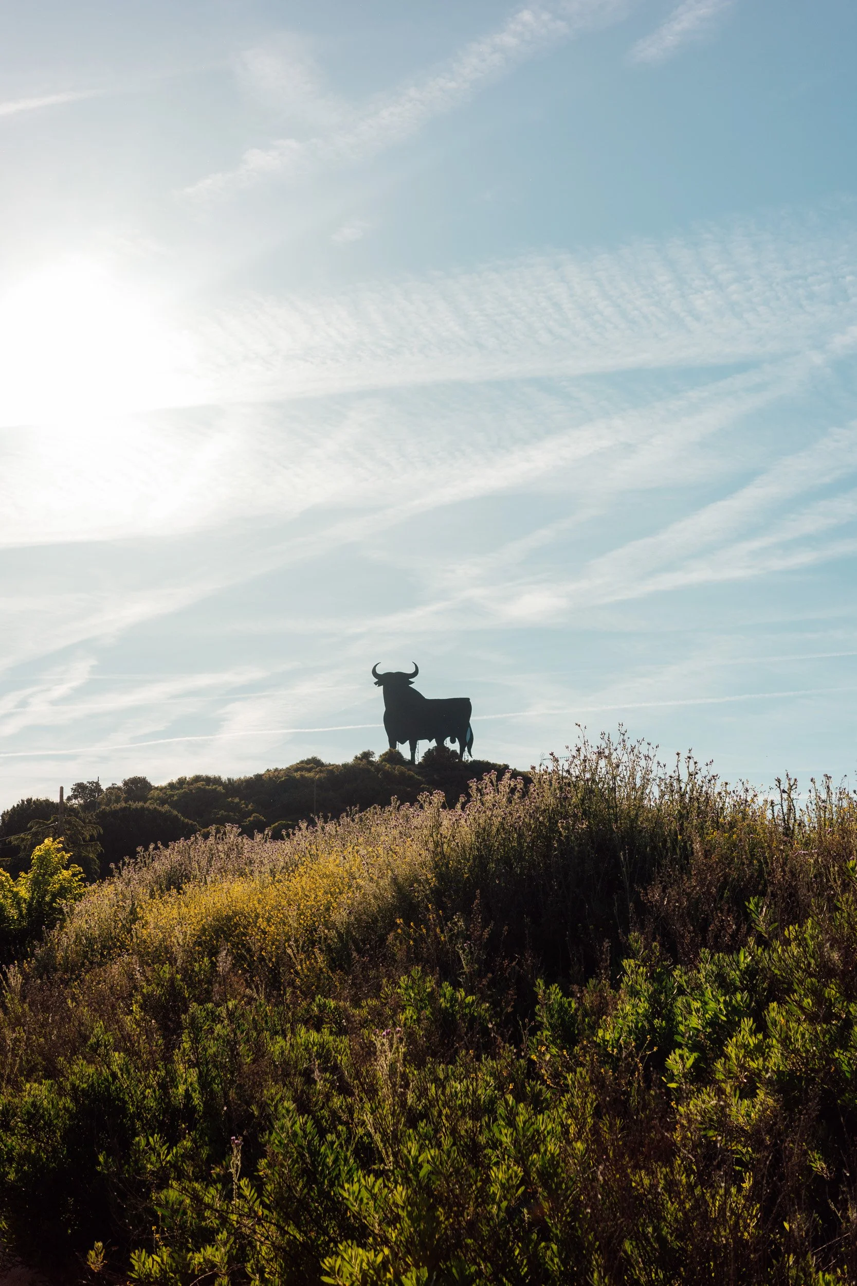 camino-55.jpg