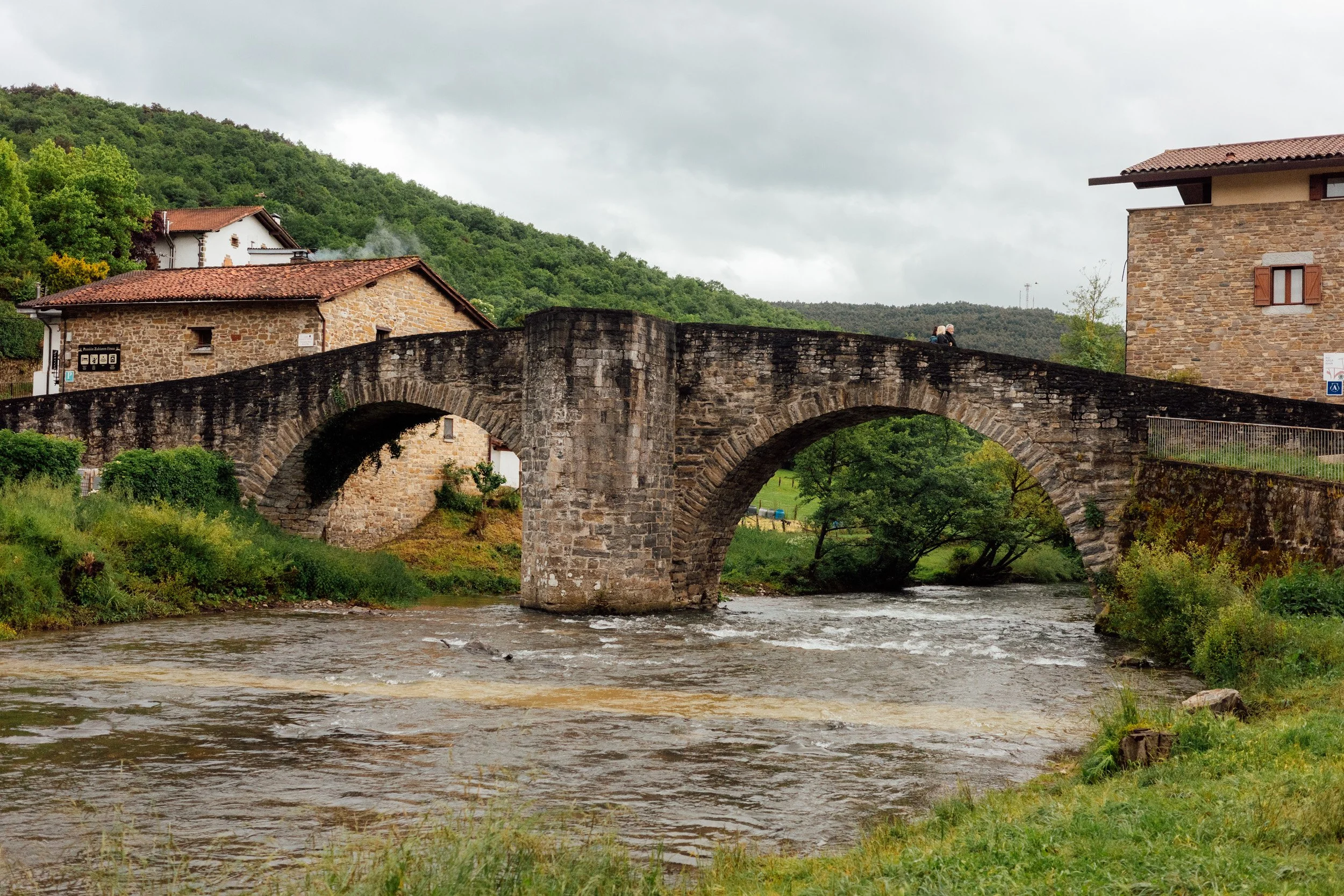 camino-23.jpg