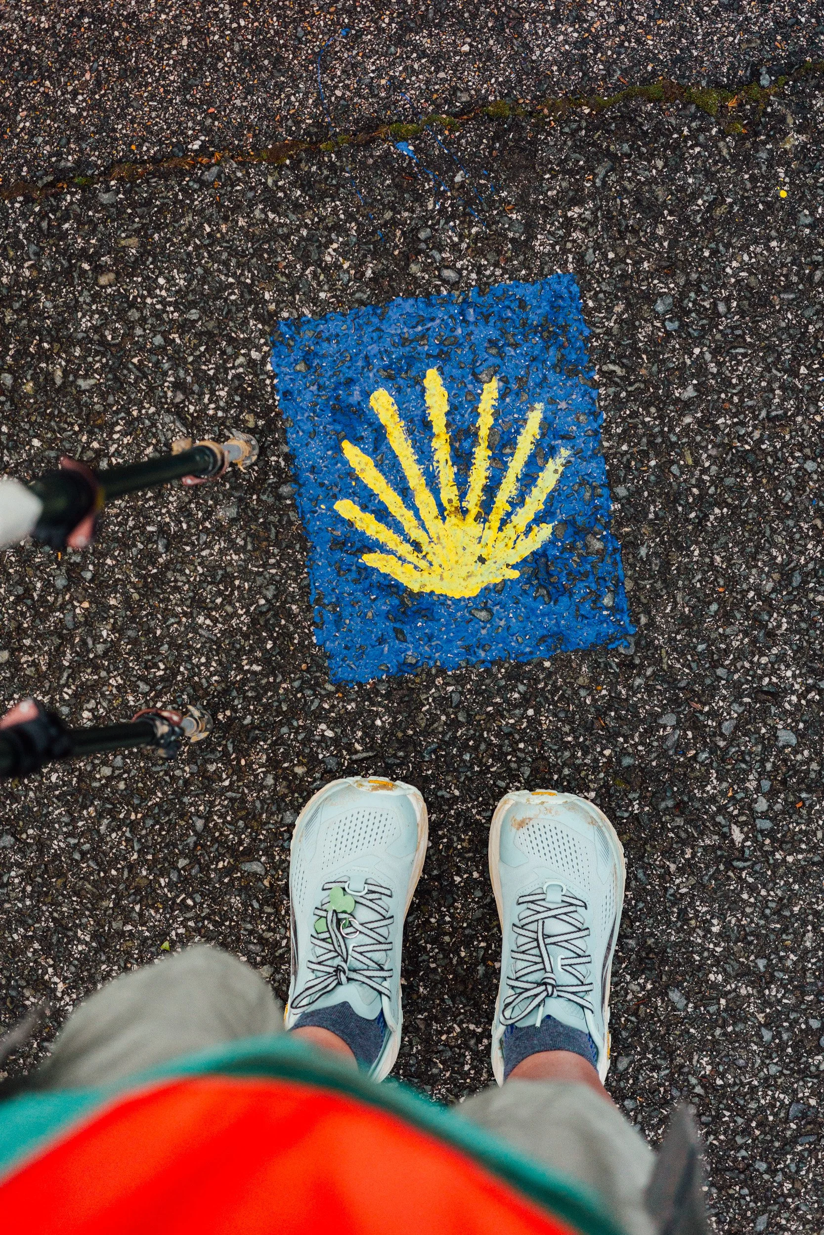 camino-34.jpg