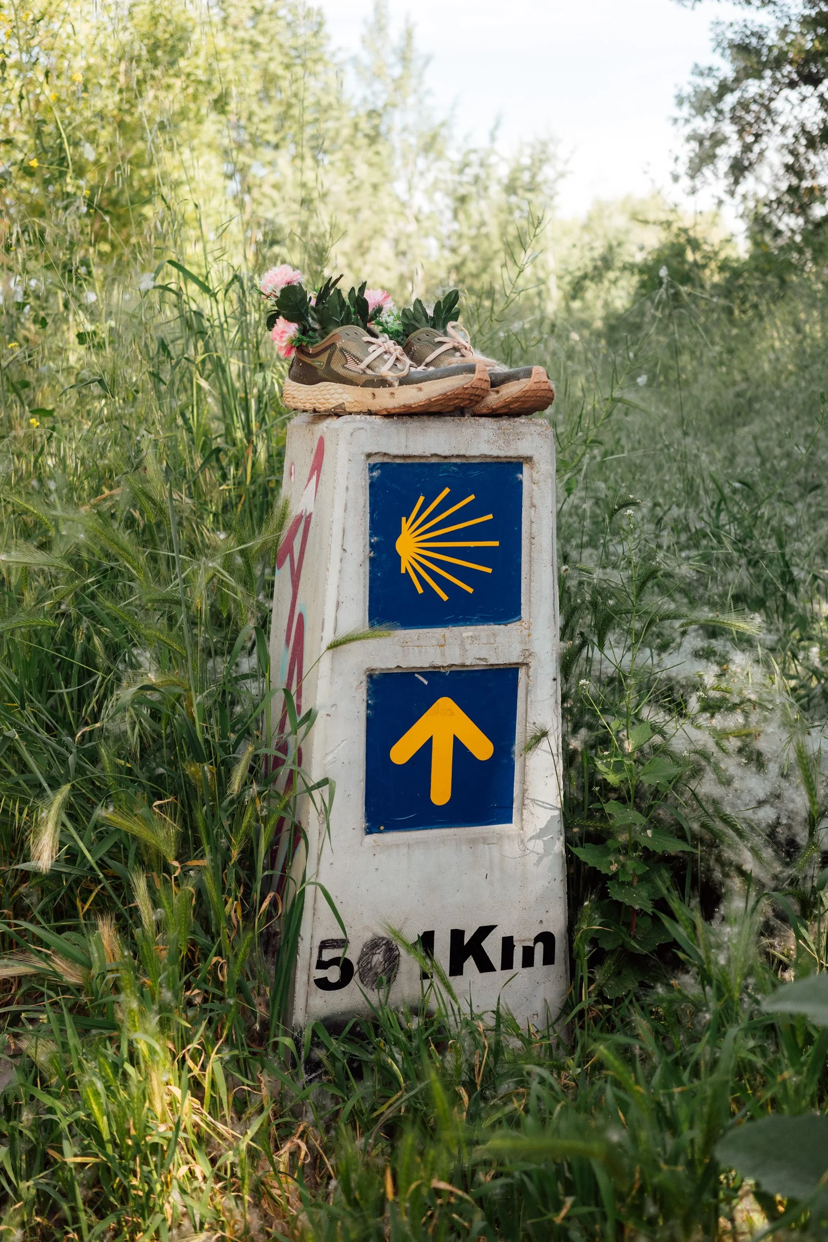 camino-84.jpg