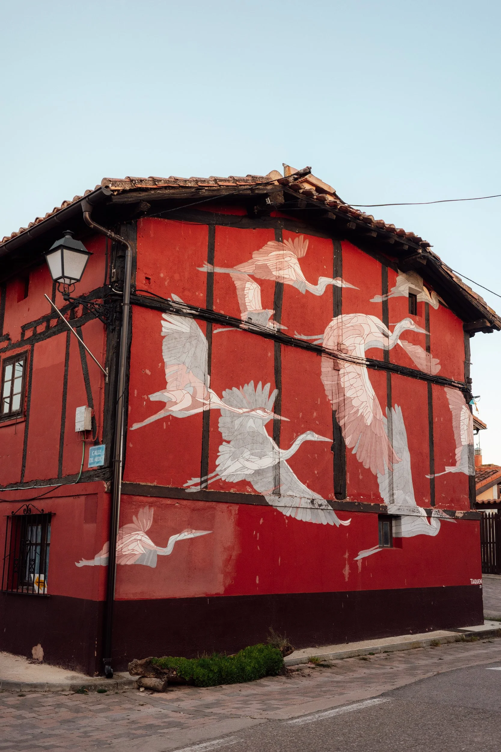 camino-75.jpg