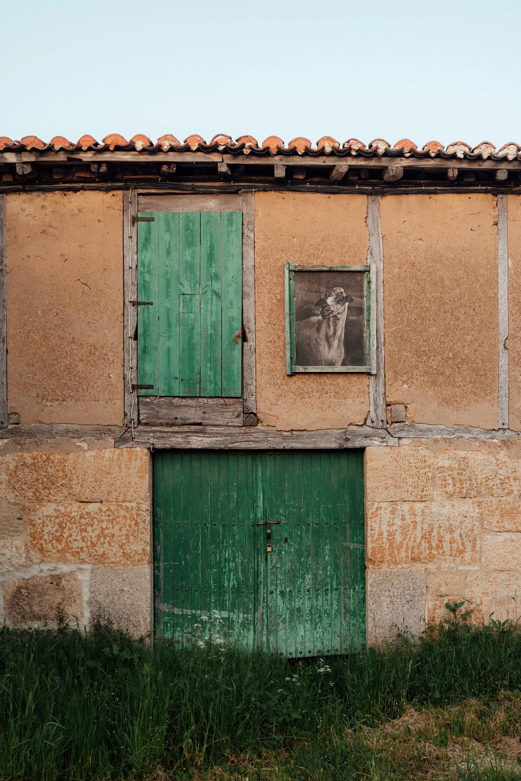 camino-76.jpg