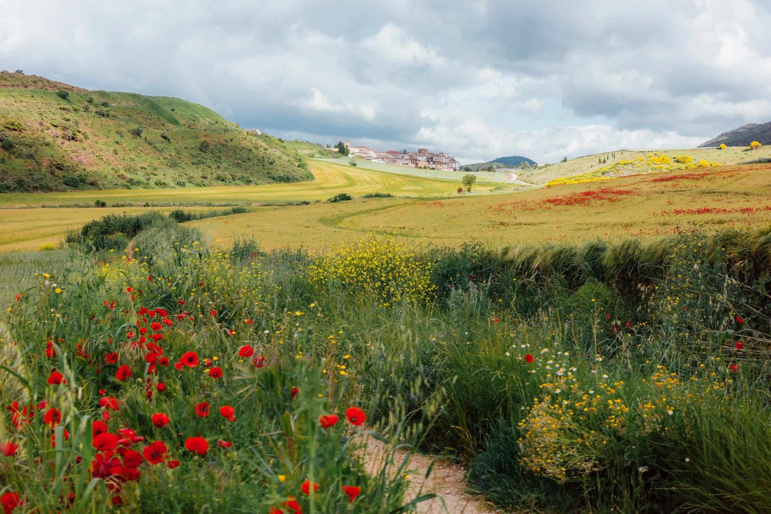 camino-36.jpg