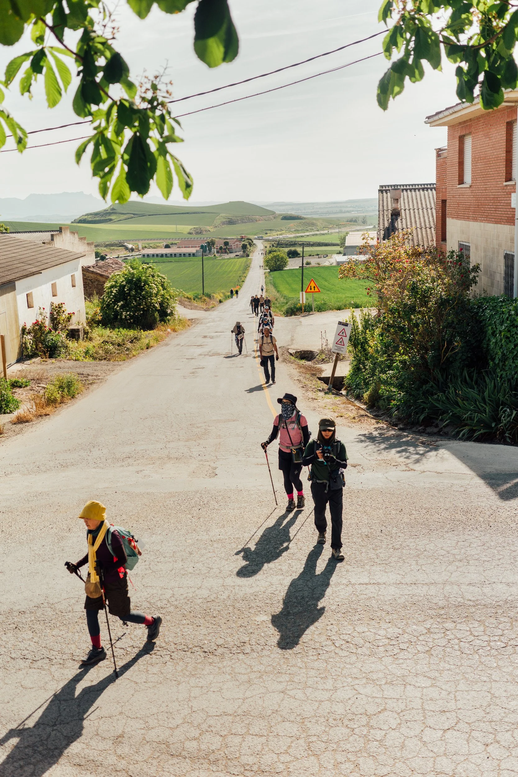 camino-68.jpg
