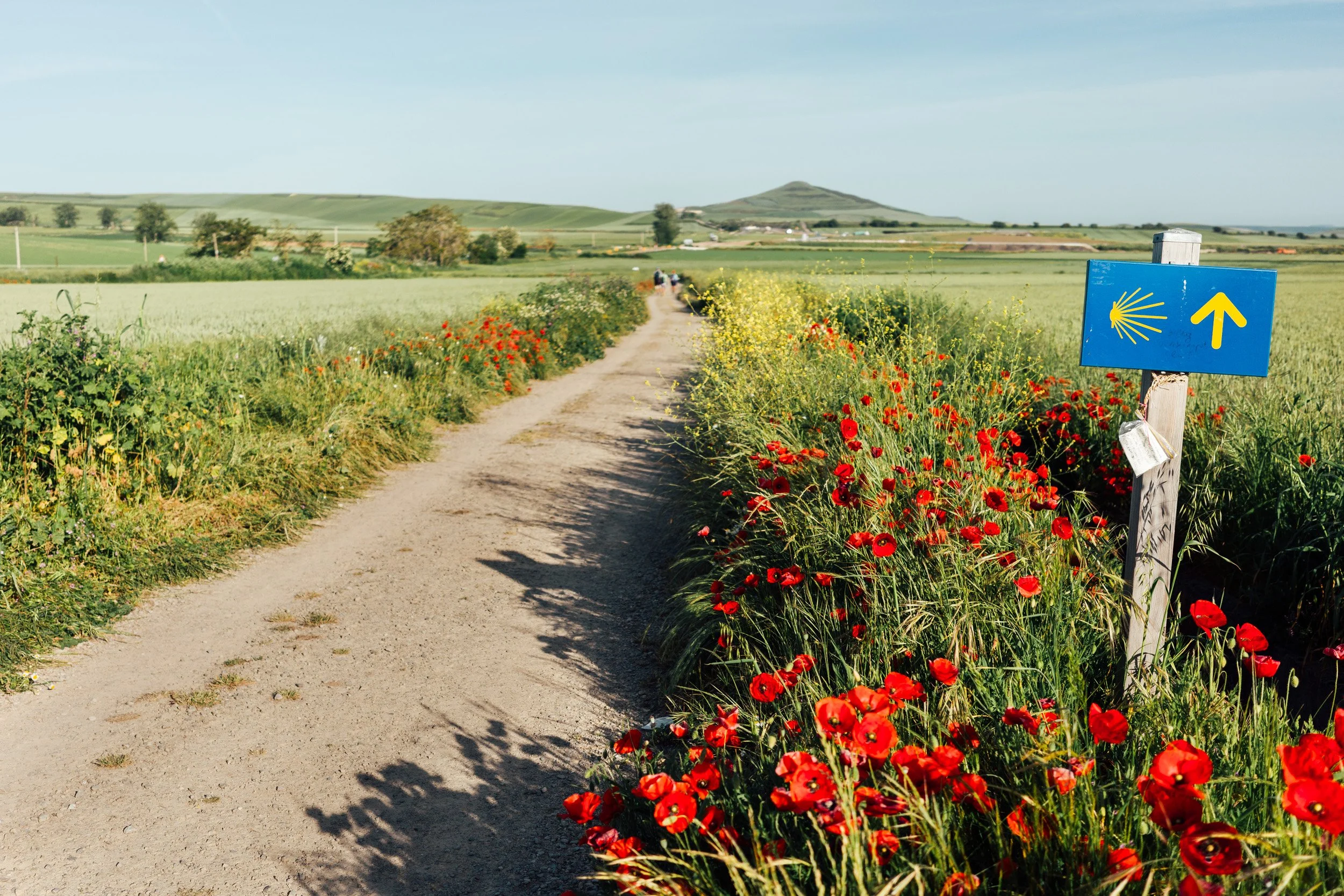 camino-67.jpg
