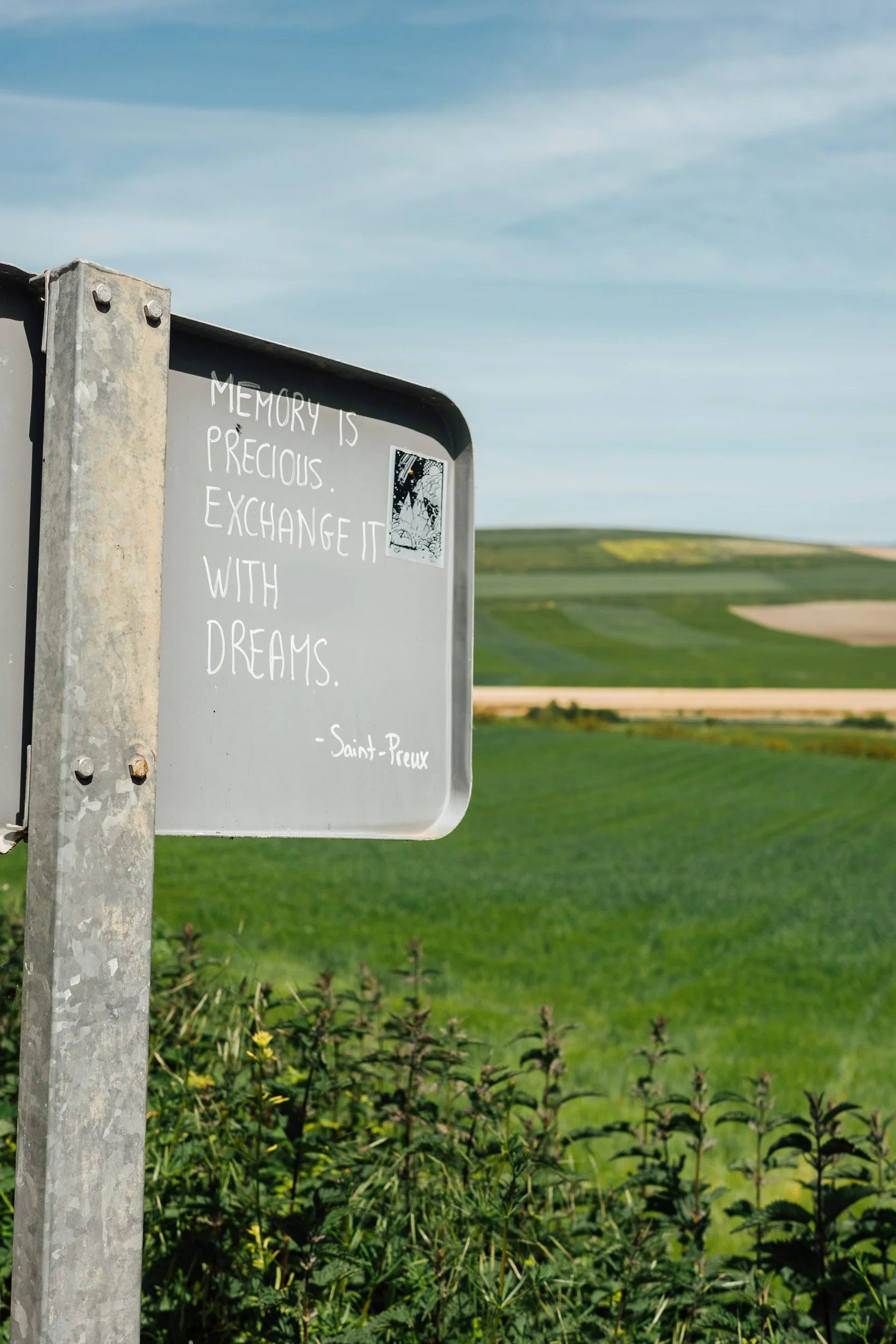 camino-71.jpg