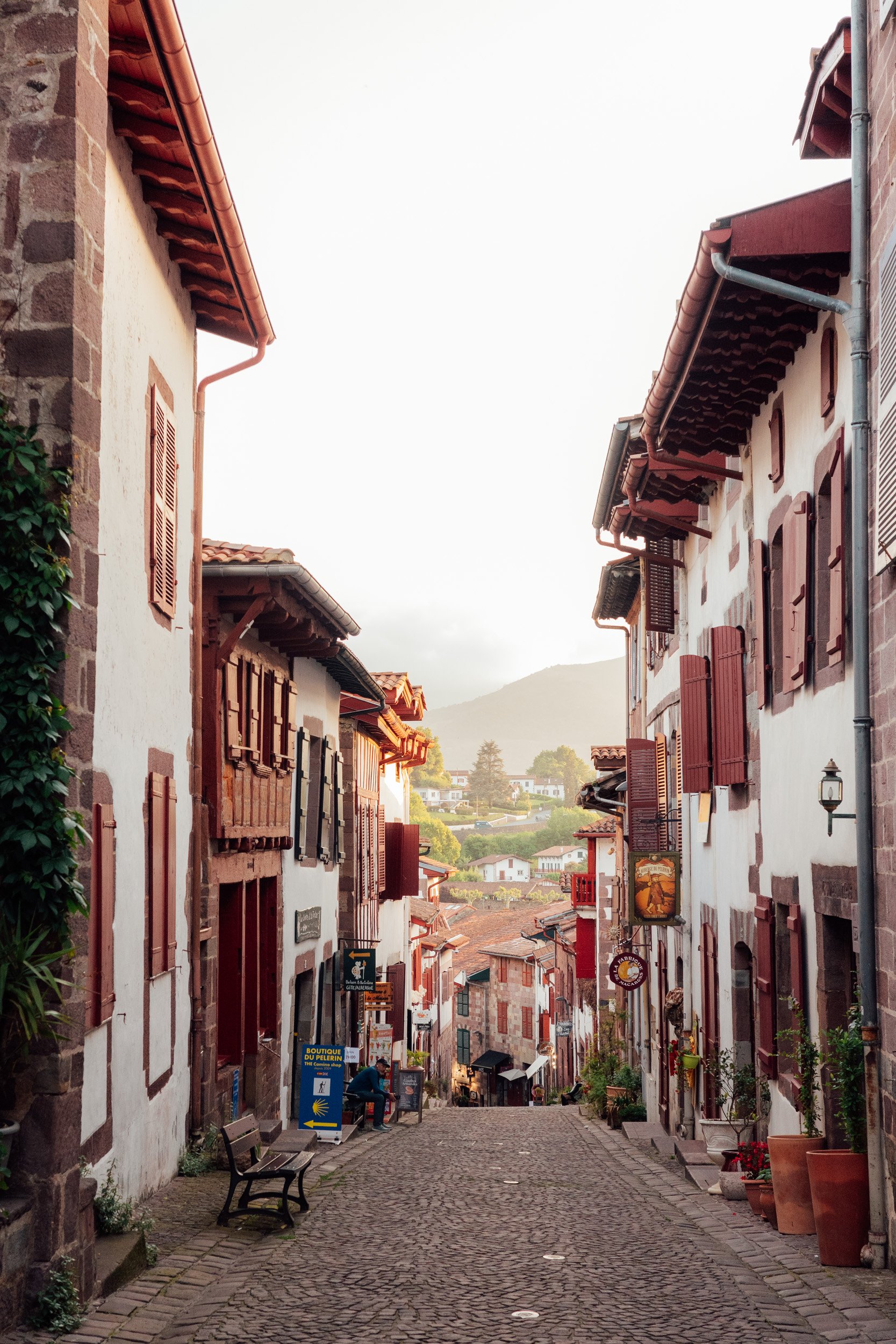 camino-4.jpg