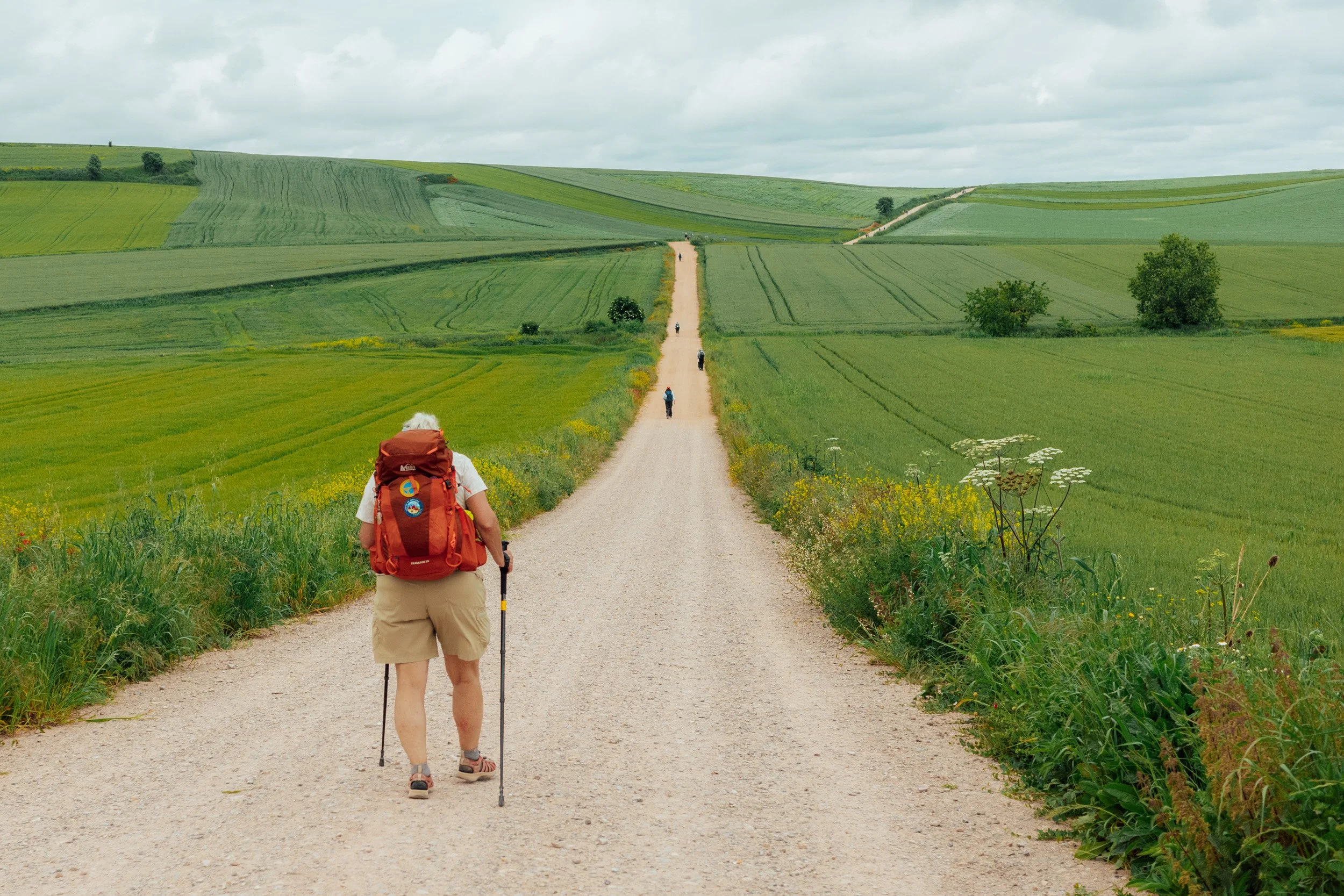 camino-64.jpg