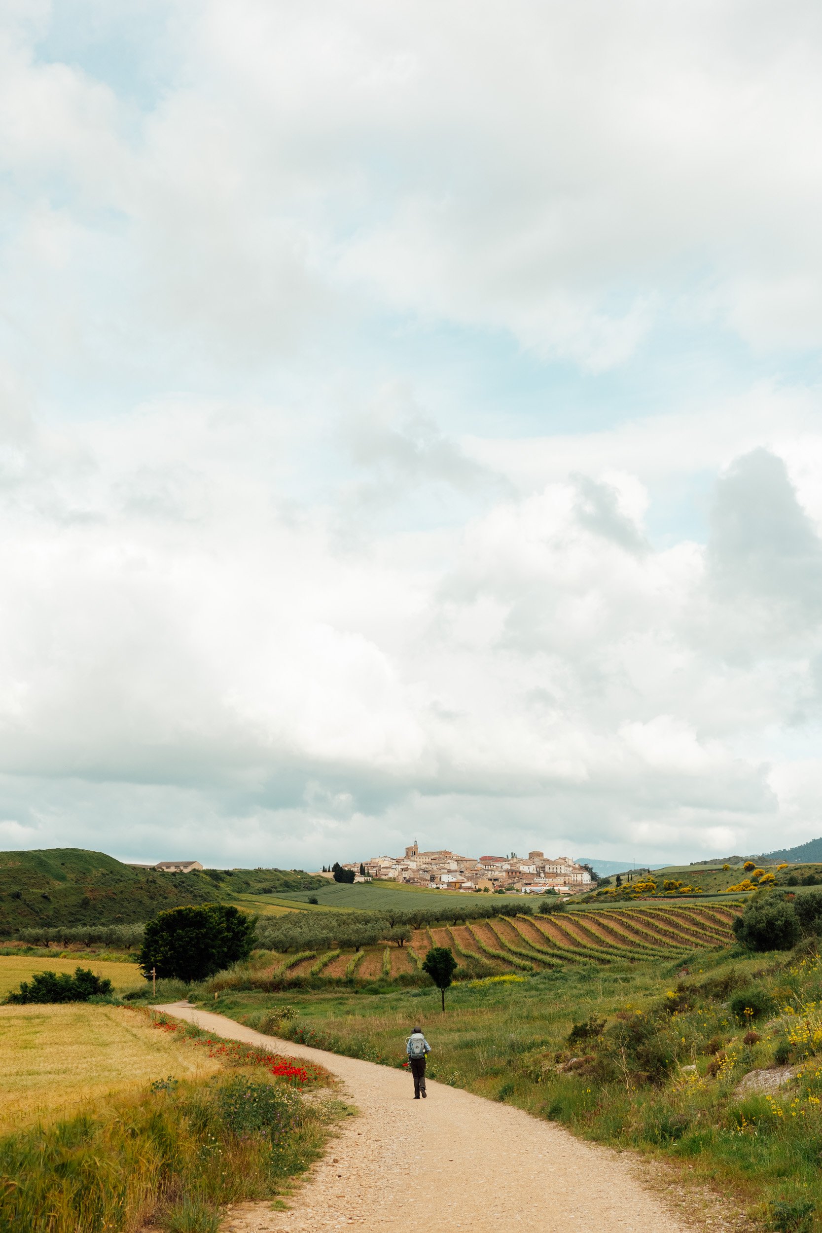 camino-35.jpg