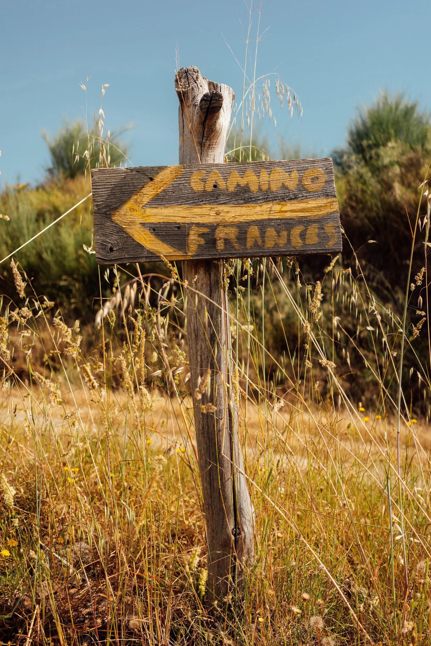 camino-121.jpg