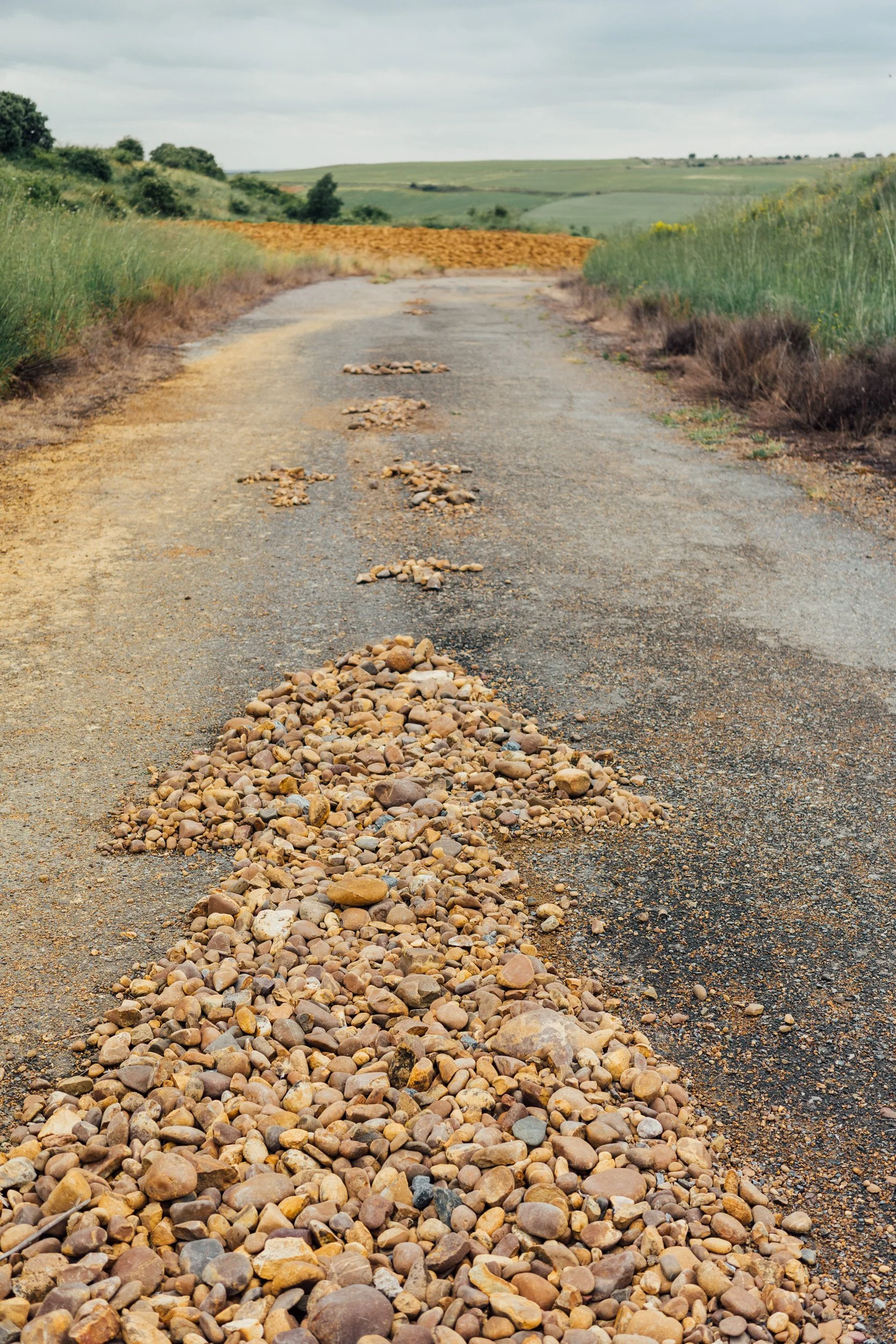 camino-96.jpg