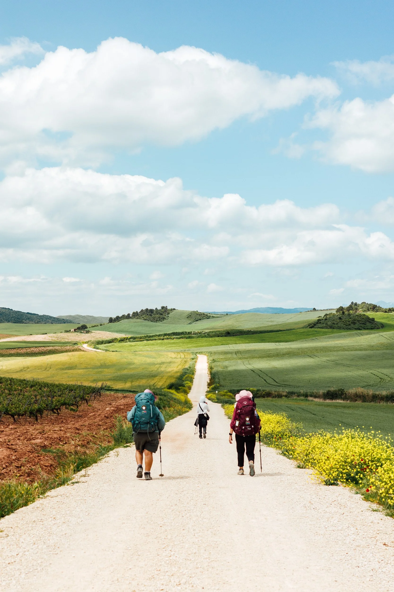 camino-47.jpg