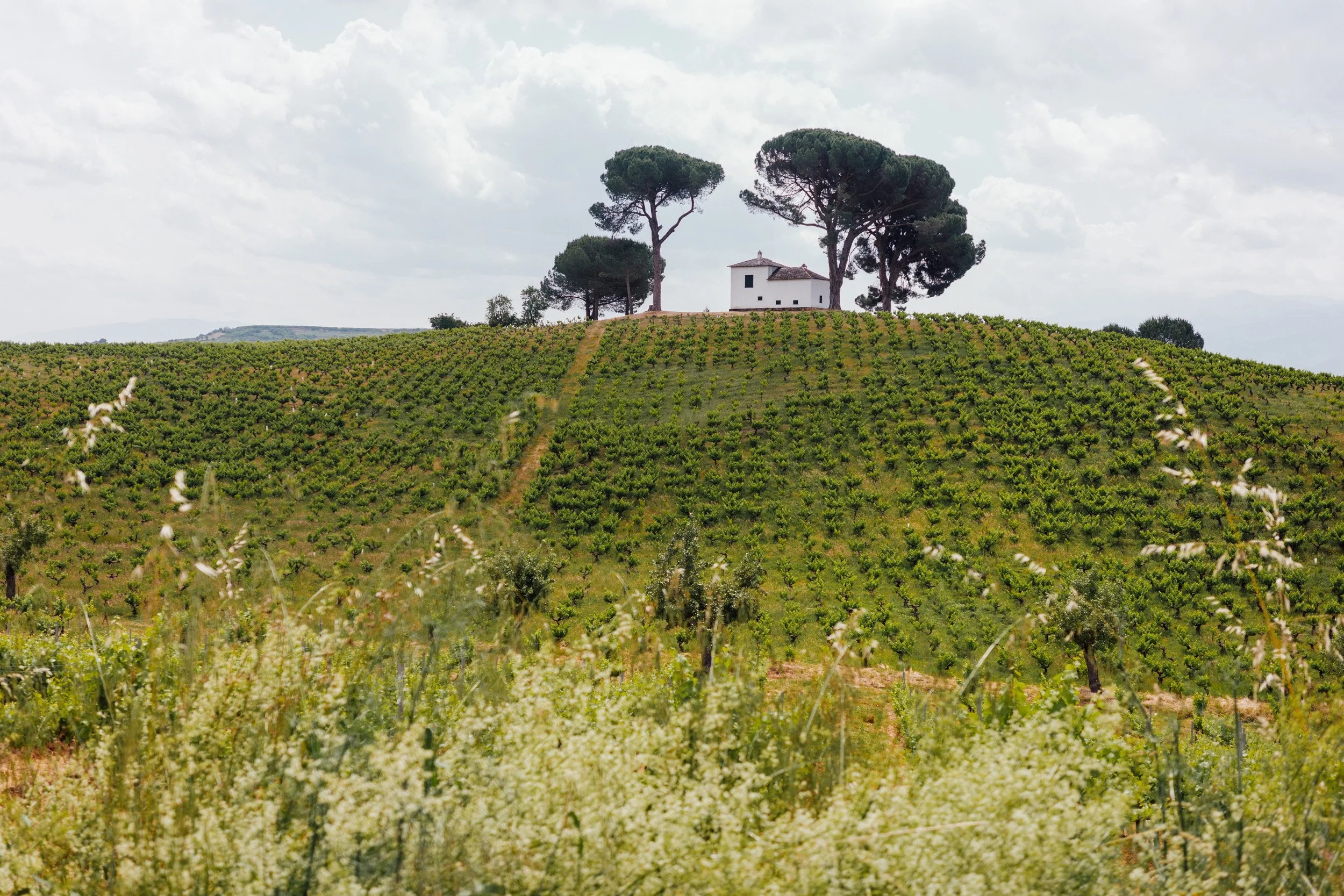 camino-128.jpg