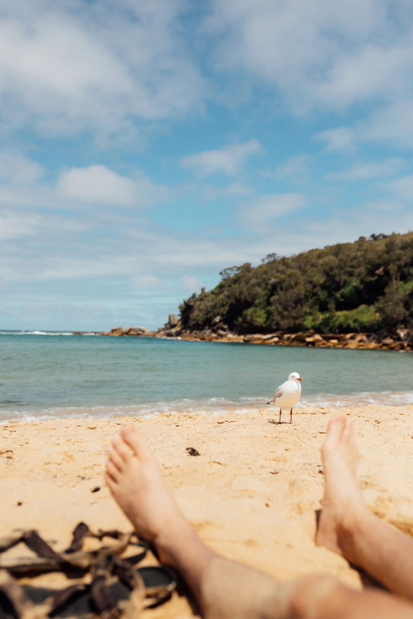 australia-27.jpg