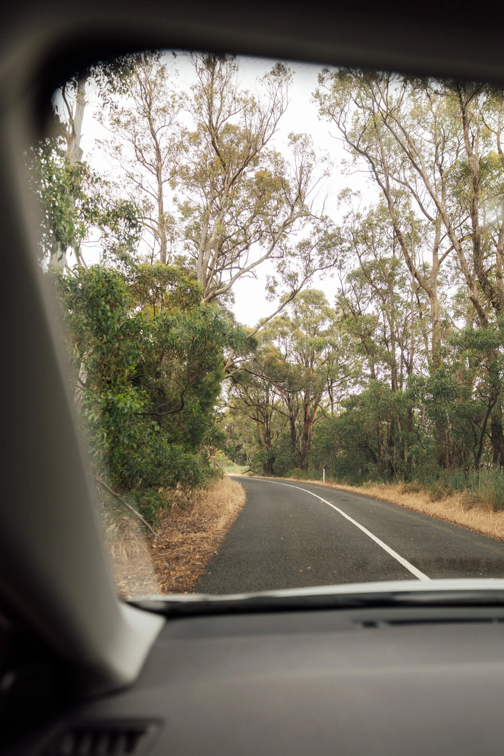 australia-62.jpg