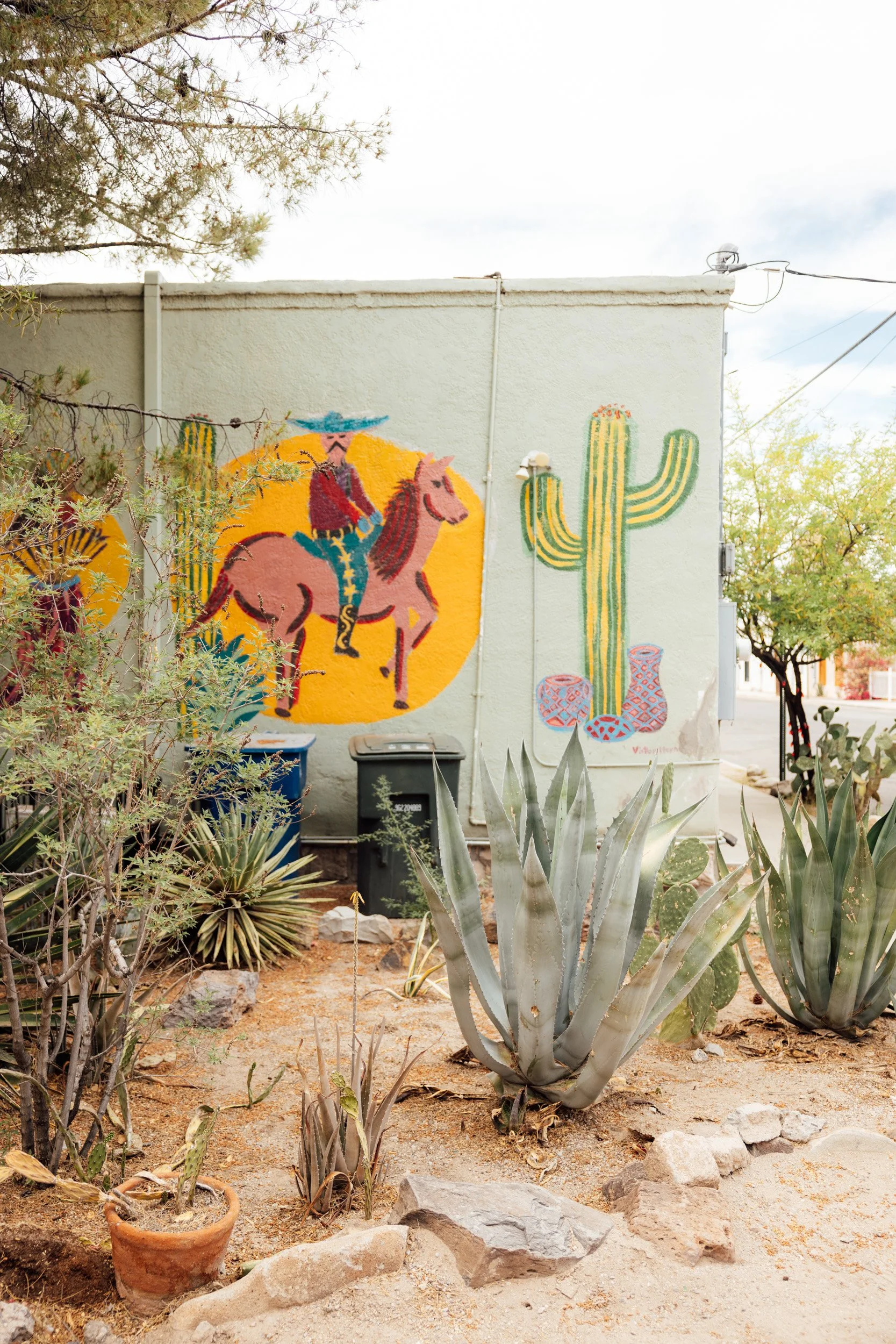 tucson-21.jpg