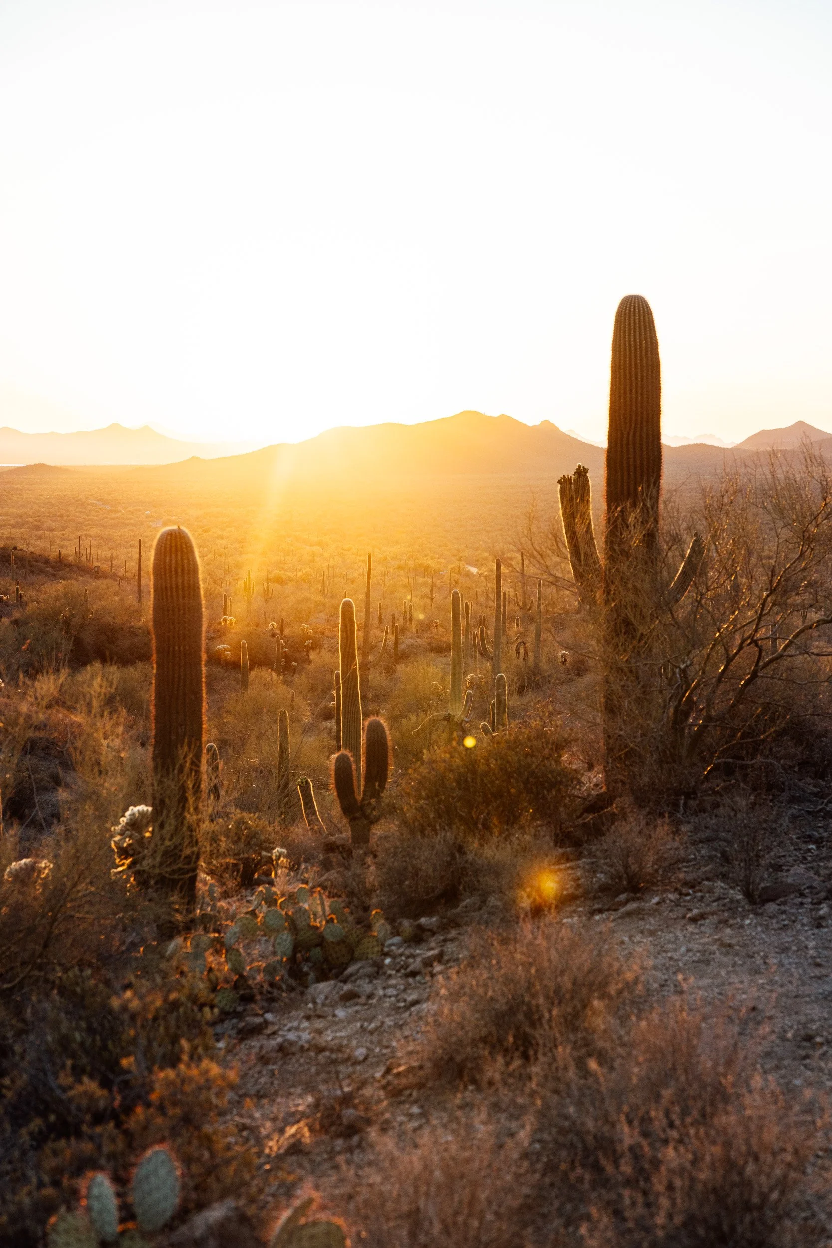 tucson-31.jpg
