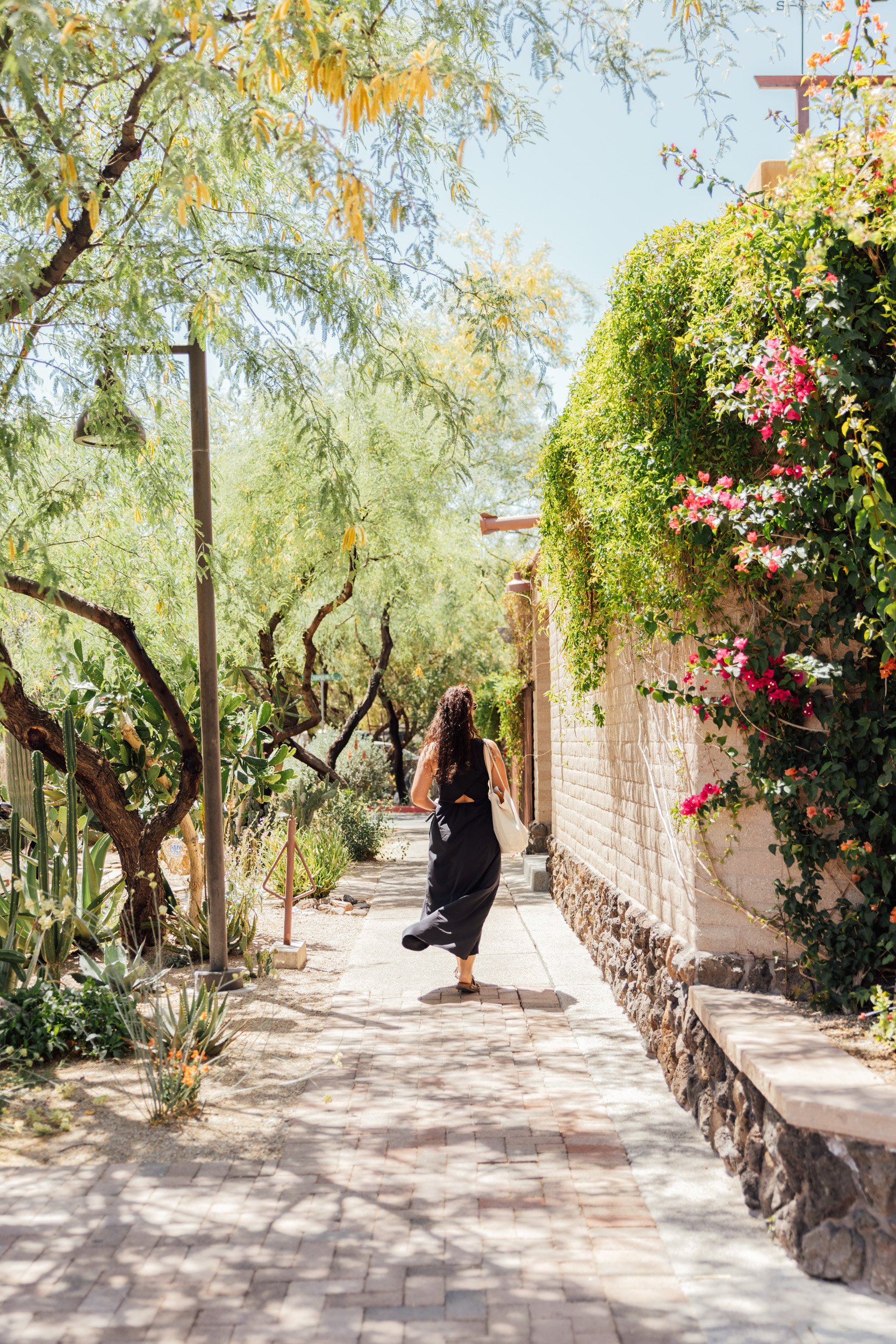 tucson-65.jpg